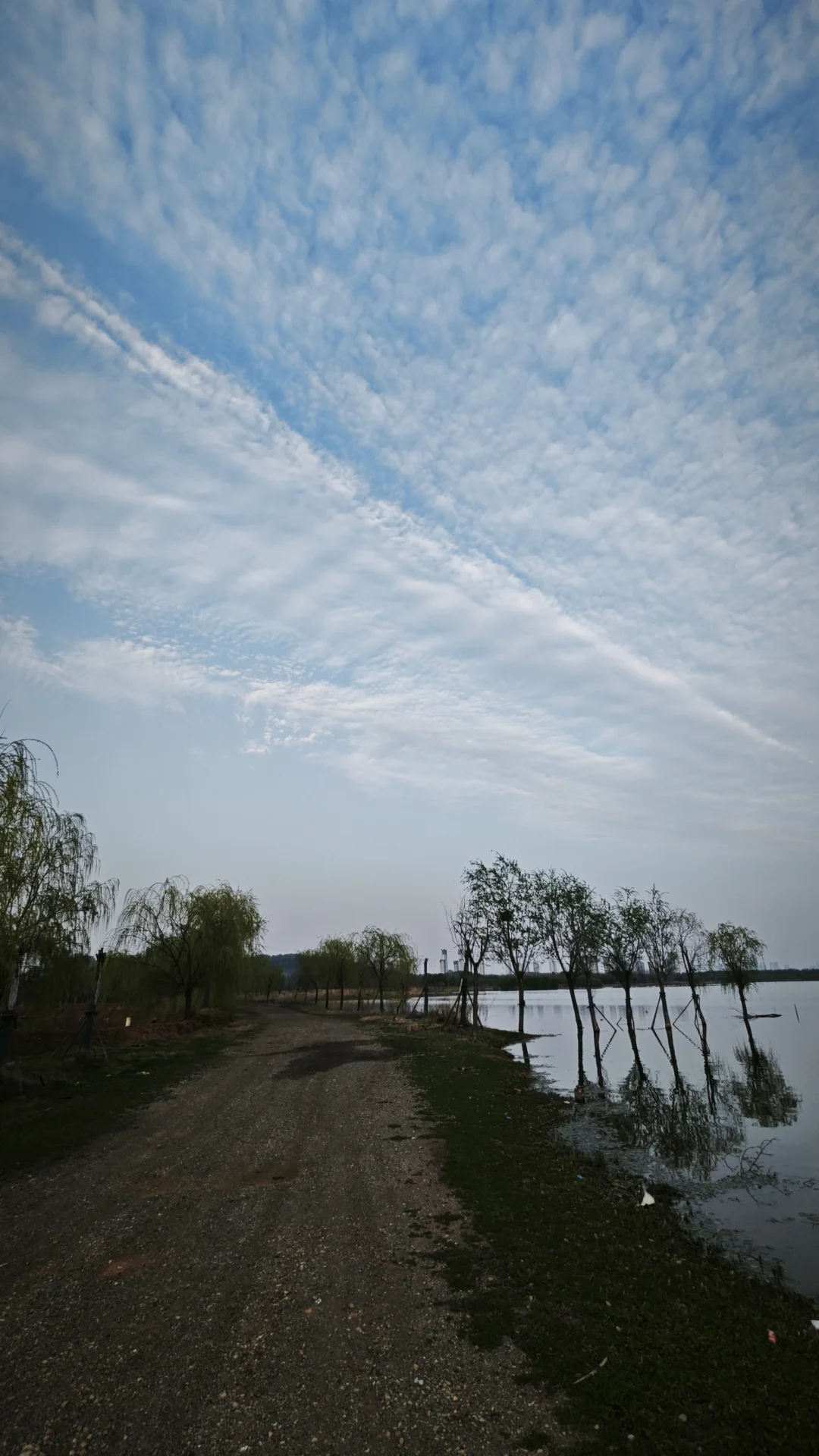 这里远离喧嚣，反而多了一份纯净和灵气