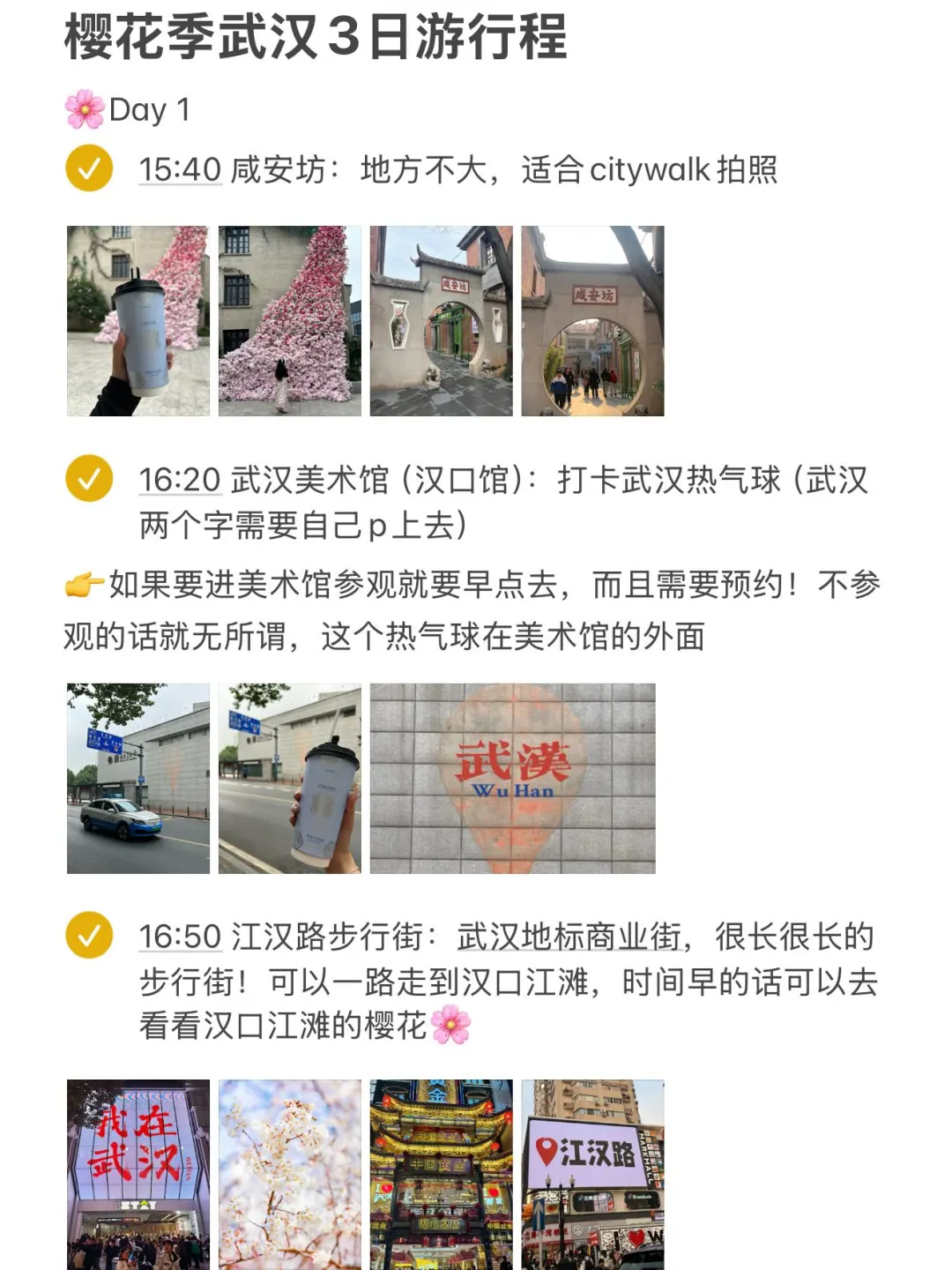 对自己做的武汉🌸攻略满意得睡不着…