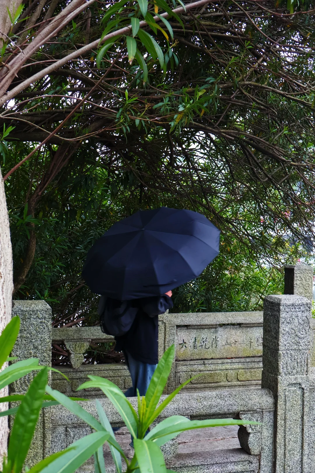 南昌春季限定景点 杏花楼🪷游玩拍照📸攻略