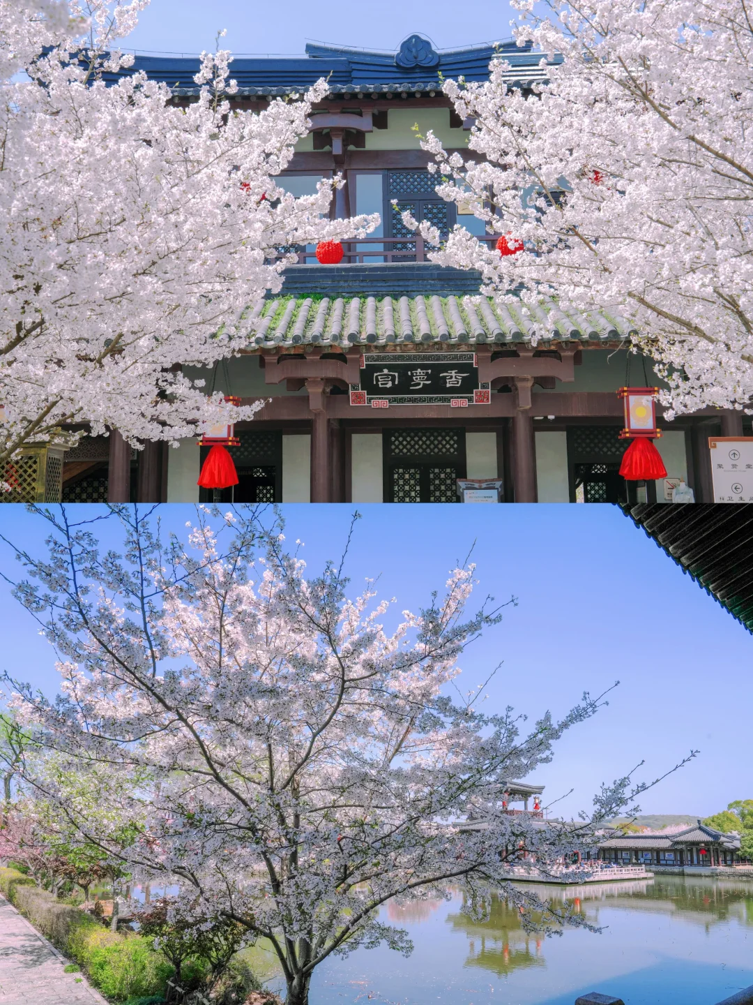 三国水浒城春日游🌸赏花+穿越🥳