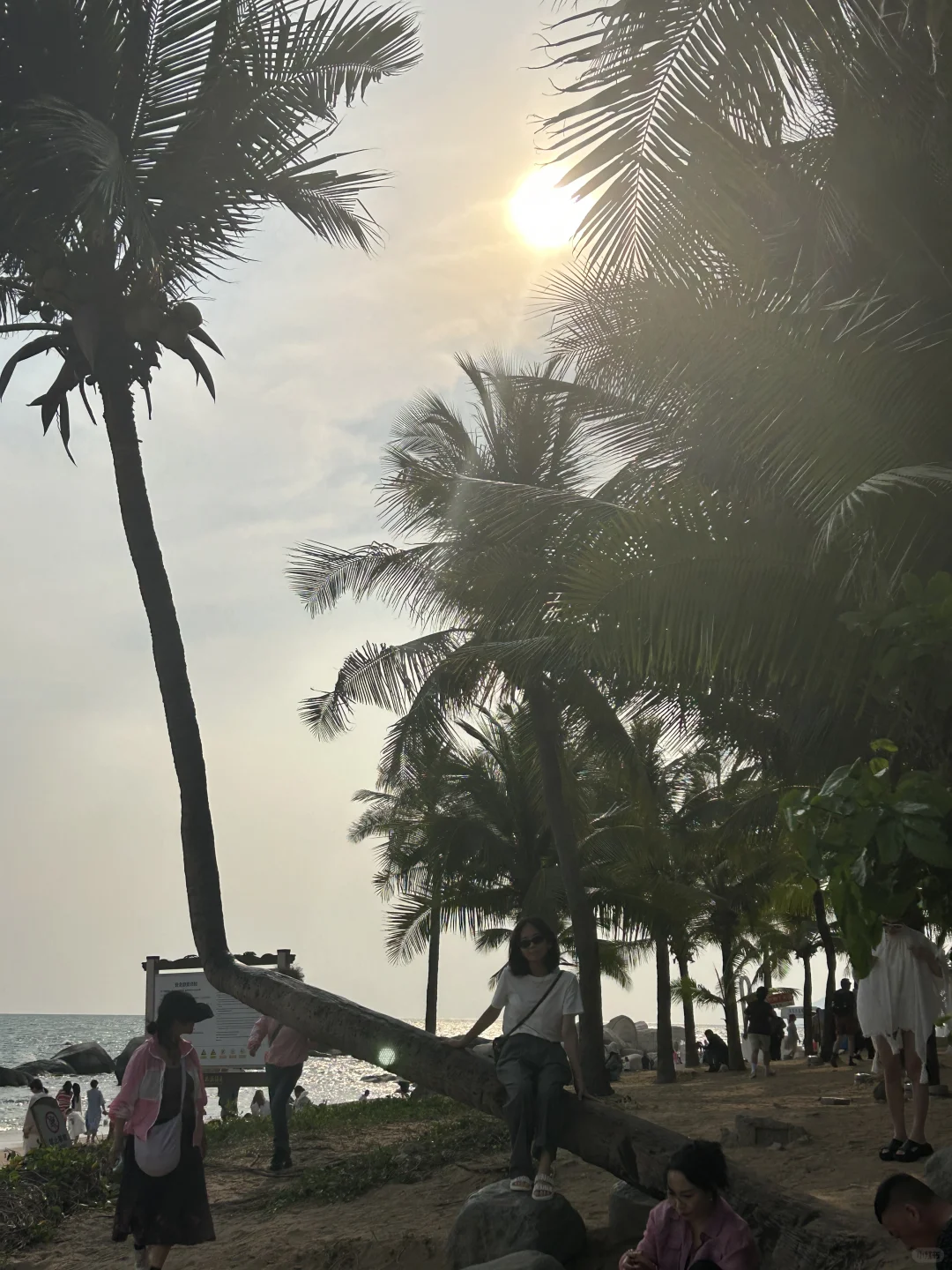 三亚旅游攻略🏝️