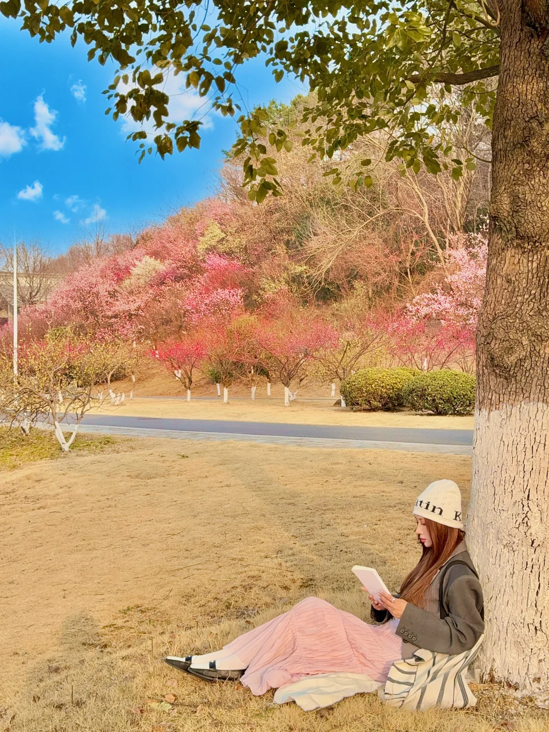 南京。。。果然最牛逼的地方都是免费的（附地址