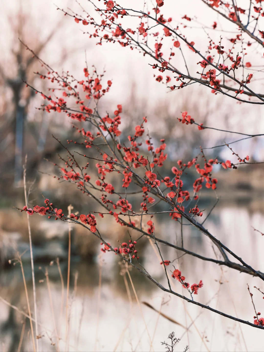 逃离城市计划|宜兴大有秋息壤酒店🍃