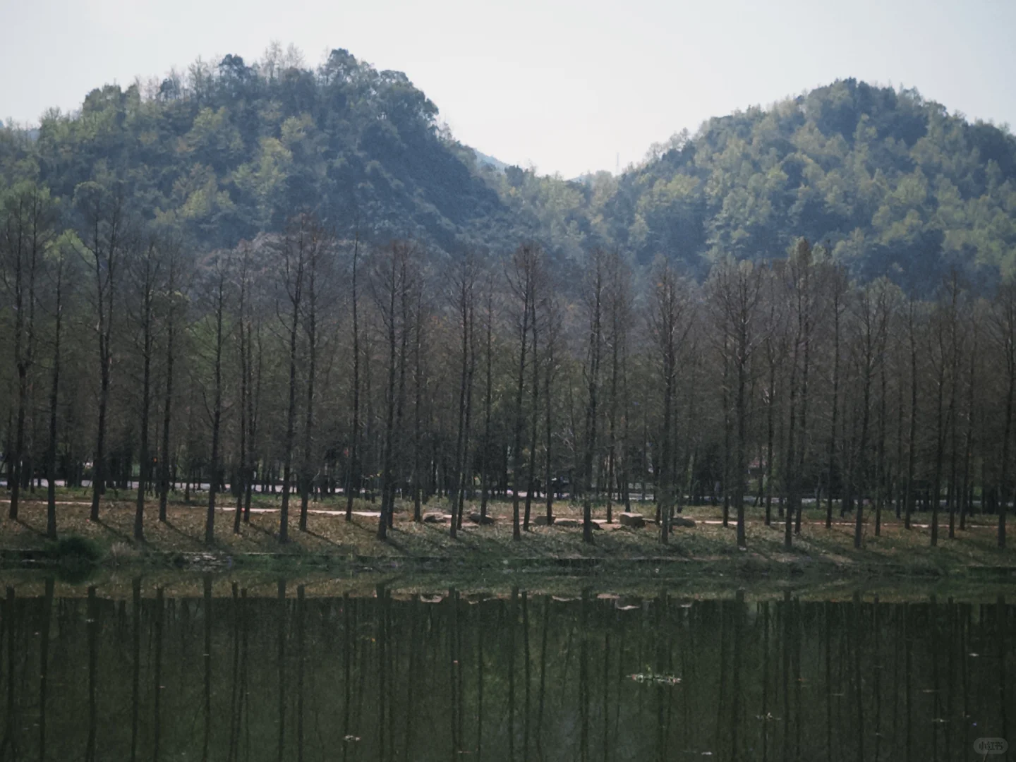临海灵湖网红小木屋🏡