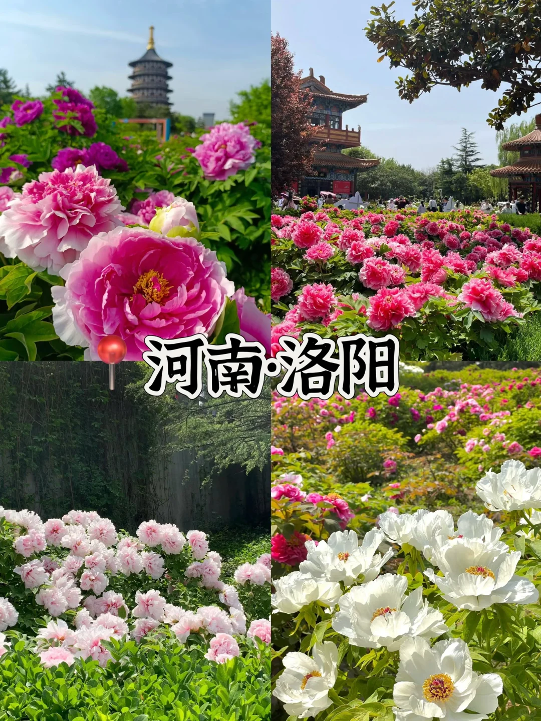 听劝‼️3-5月旅游一定来这🔟个城市感受春天