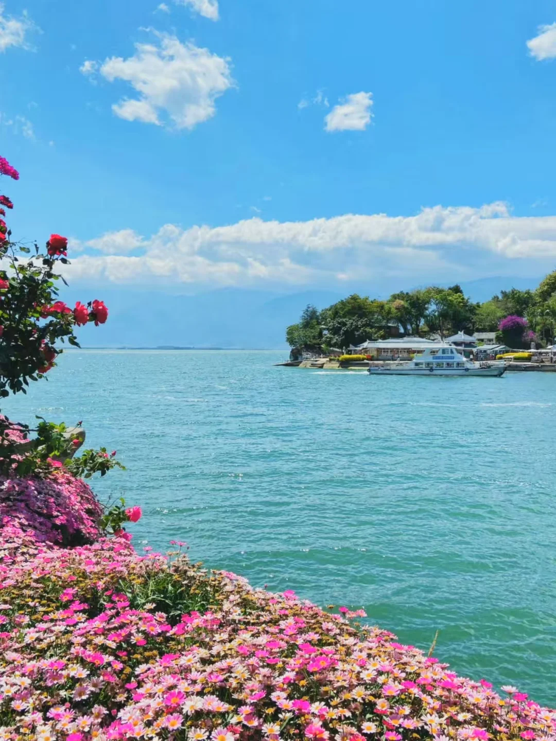 去大理吧！感受苍山洱海的风月🌊附攻略