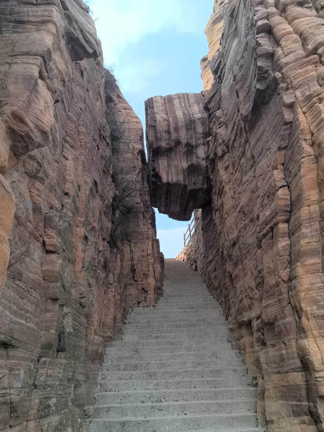 这么近，那么美