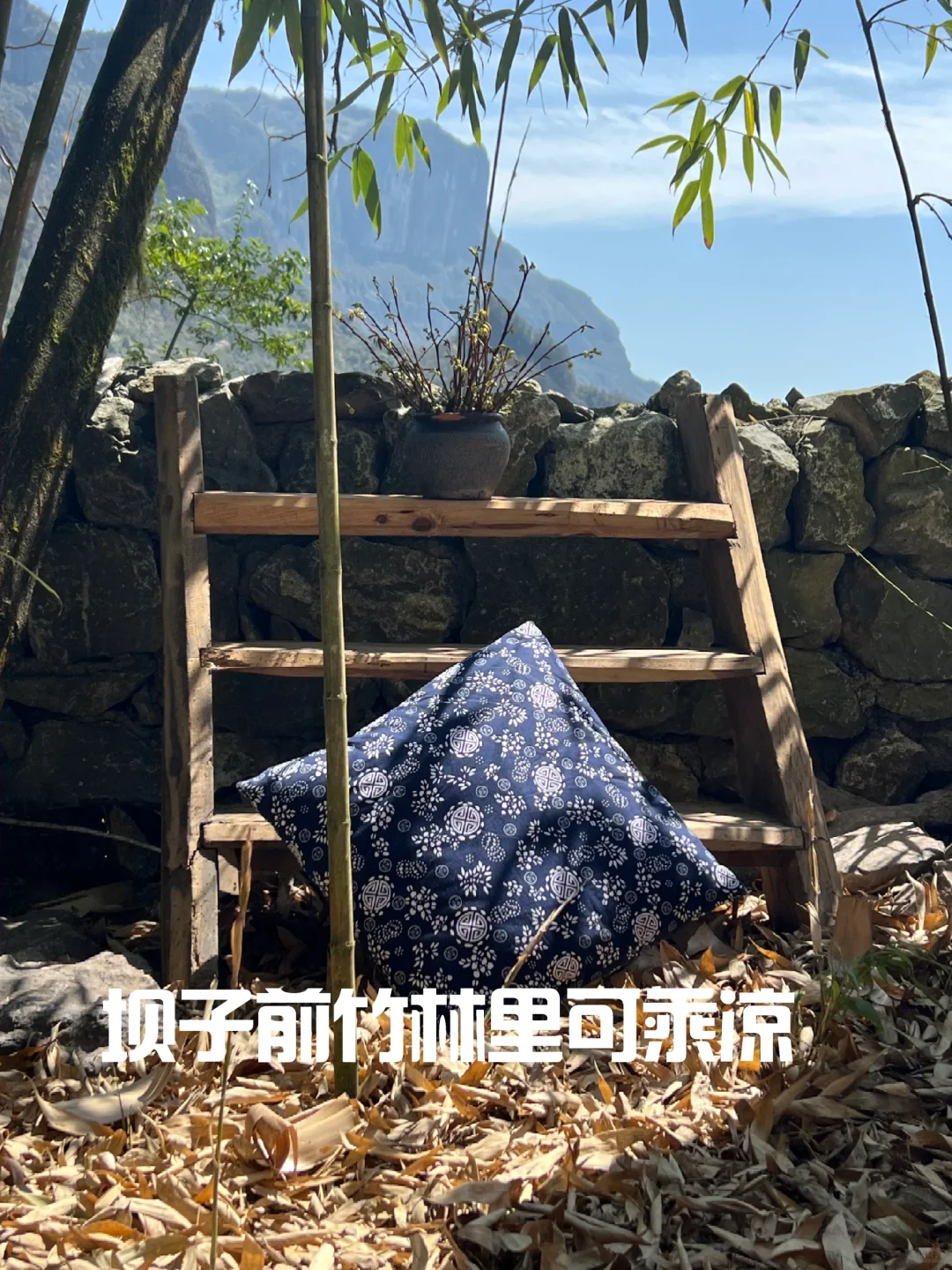 金佛山景区攻略请查收｜今日晴，来打野！