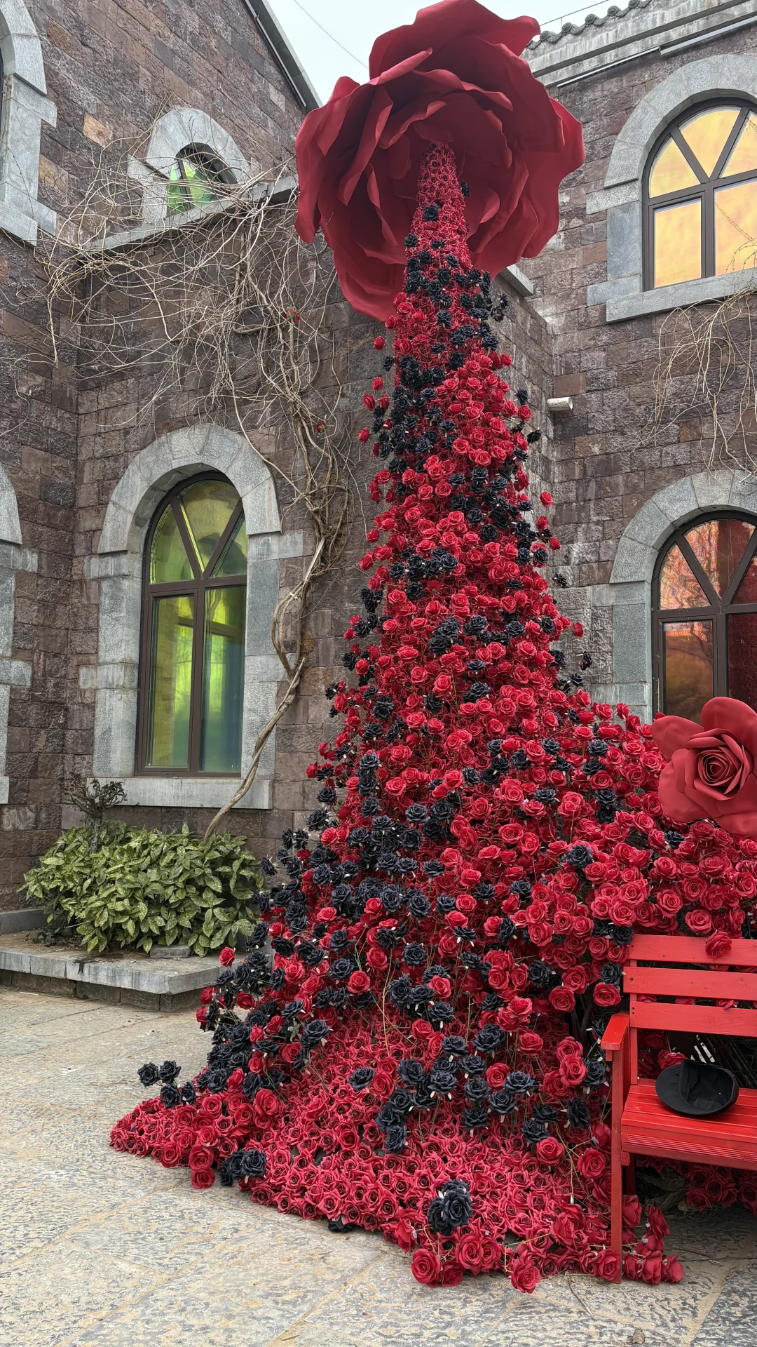 诚挚的给枣庄人一个建议