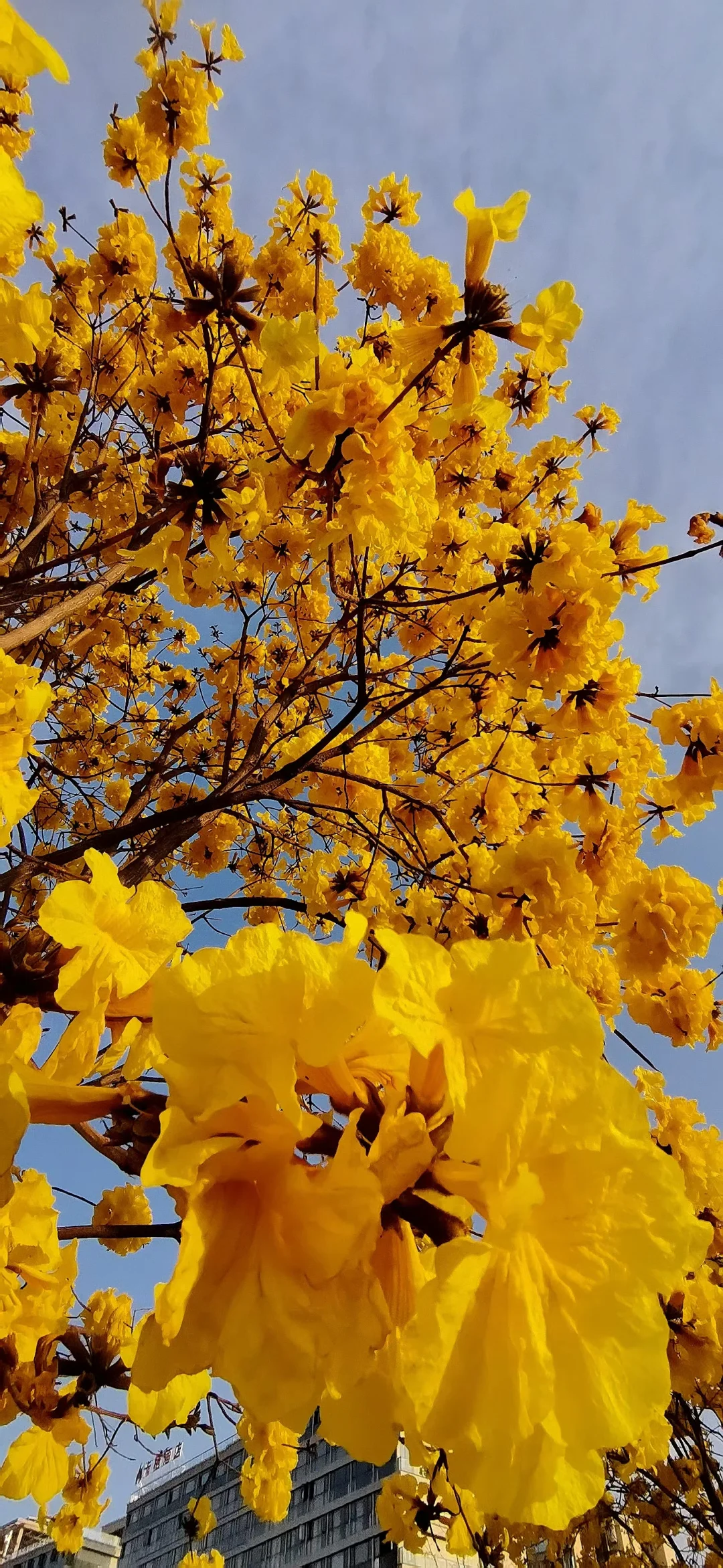 西昌最全旅游攻略