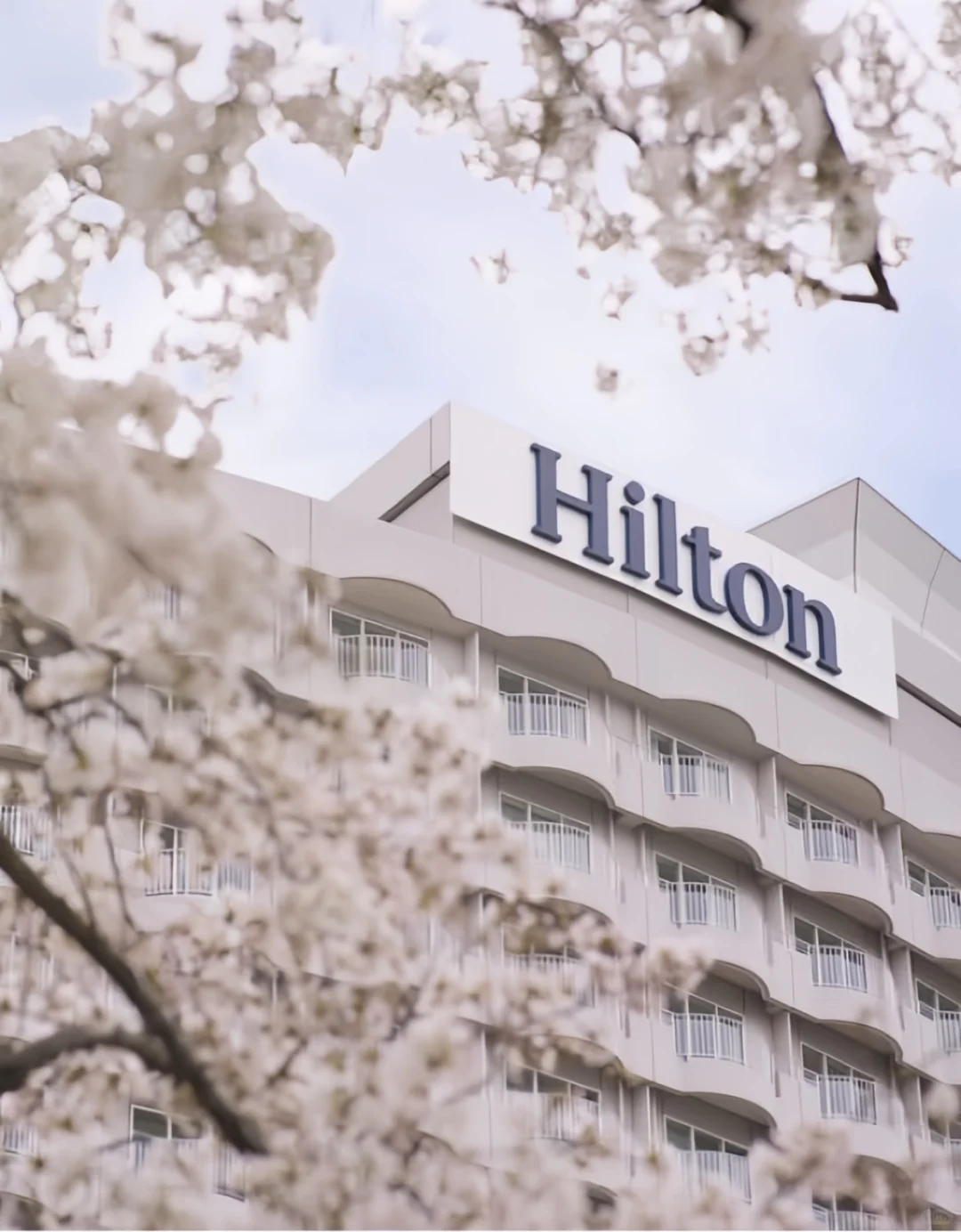 樱花季🌸酒店攻略