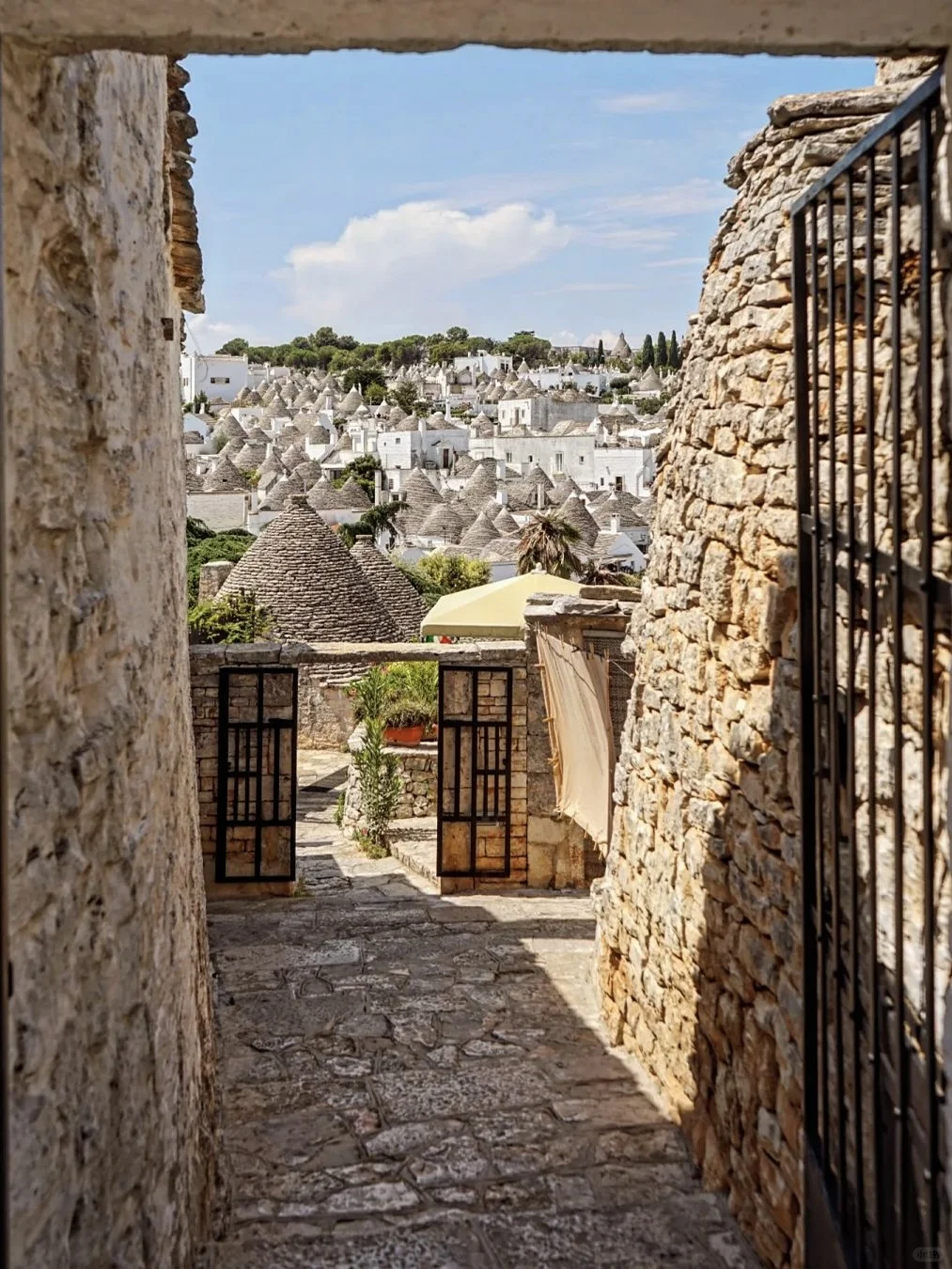 Alberobello｜意大利童话世界里的“天堂小镇”