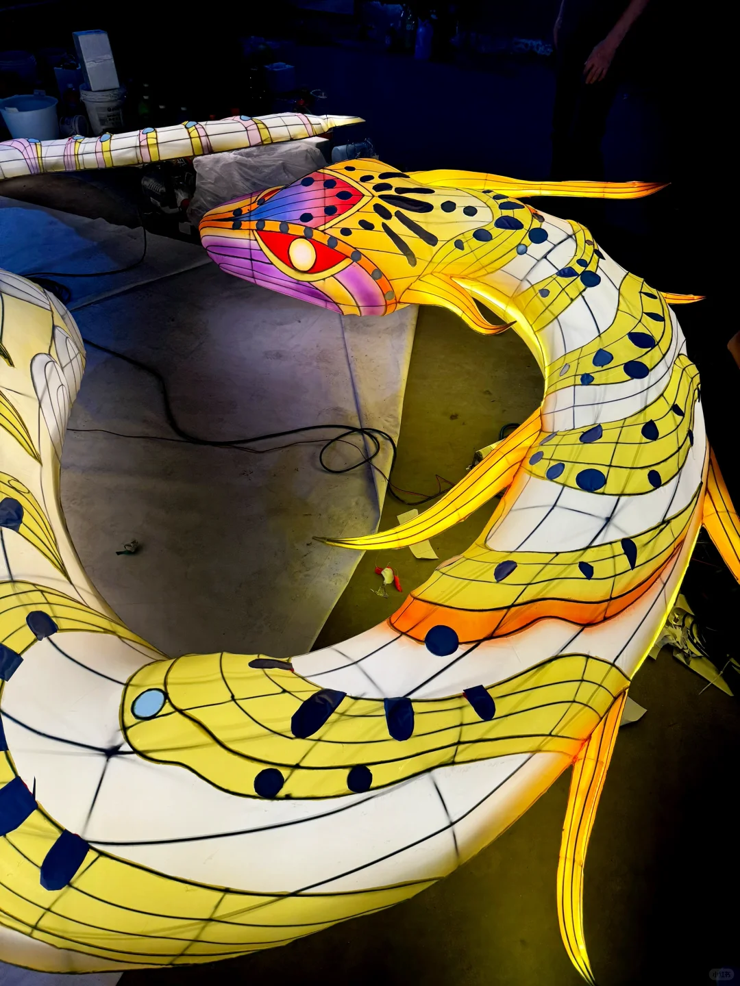 热爱➕行动=闪闪发光