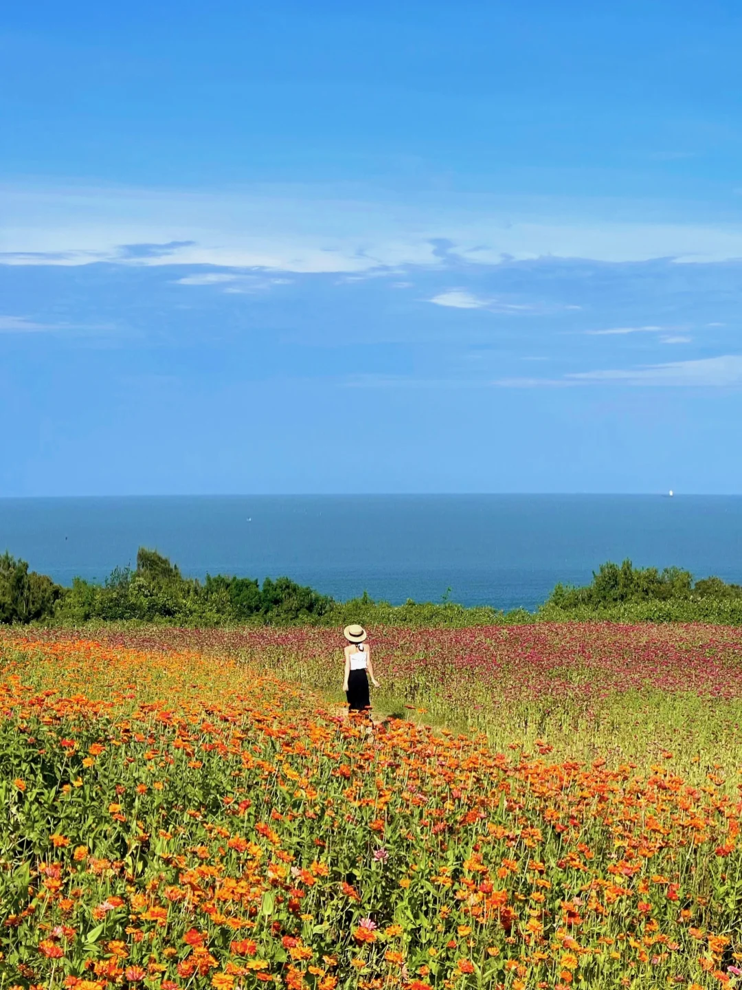 如果你来福建，可以去这座浪漫海岛～