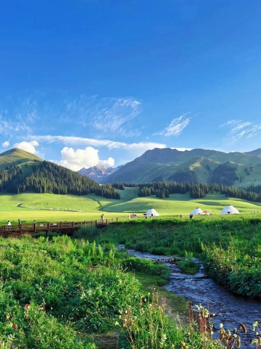 🌿五一新疆旅行｜避开人潮，独享绝美风光