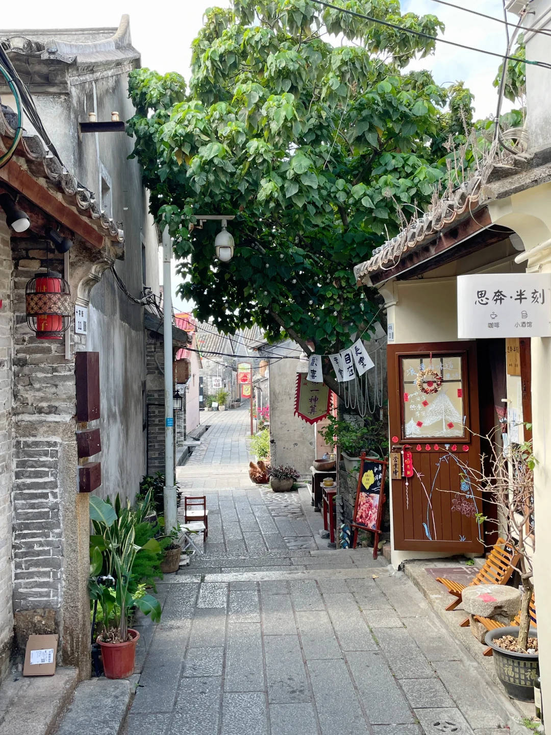 这里不是云南！是深圳！！这一次去有风的地方~