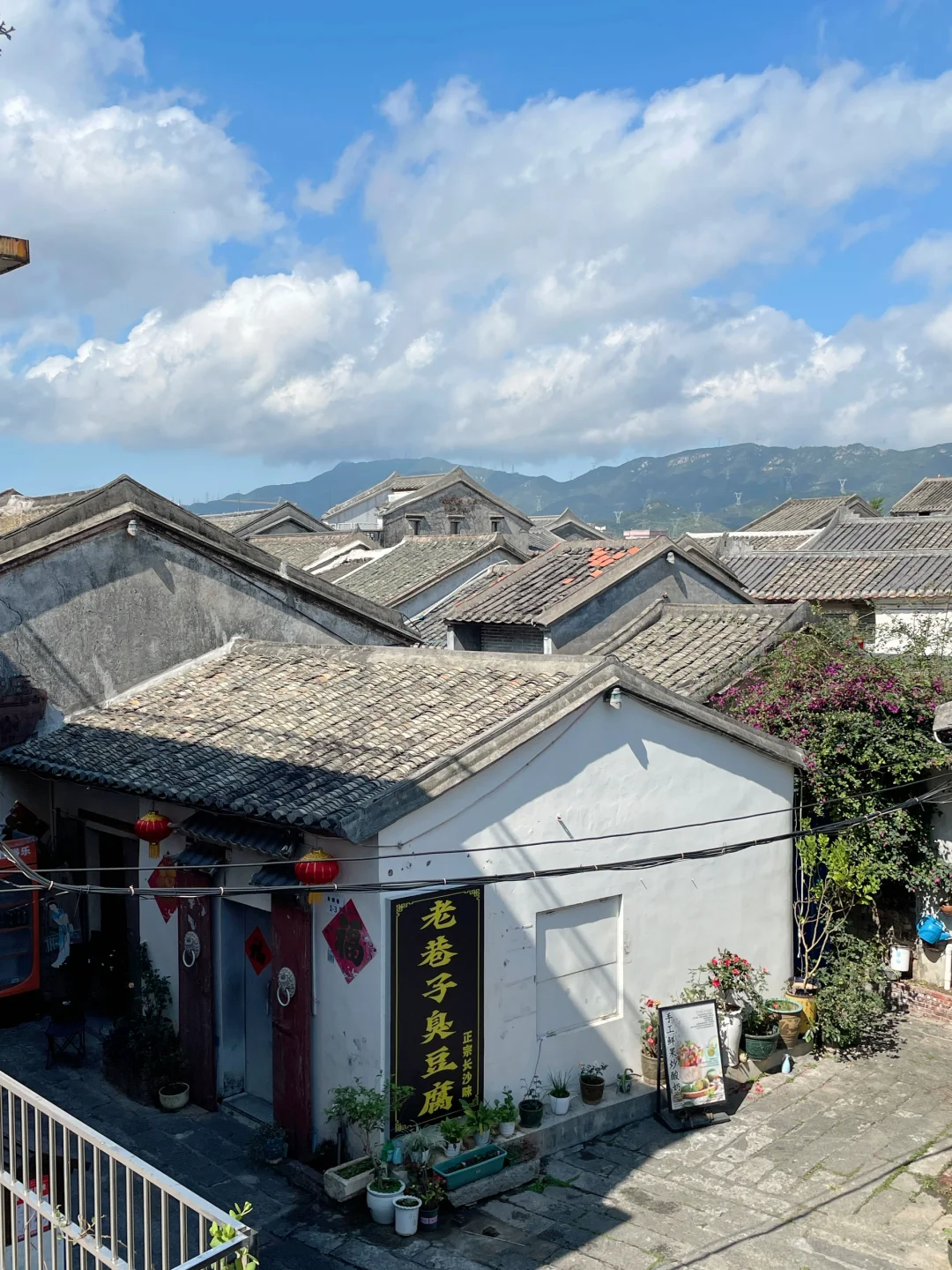 这里不是云南！是深圳！！这一次去有风的地方~