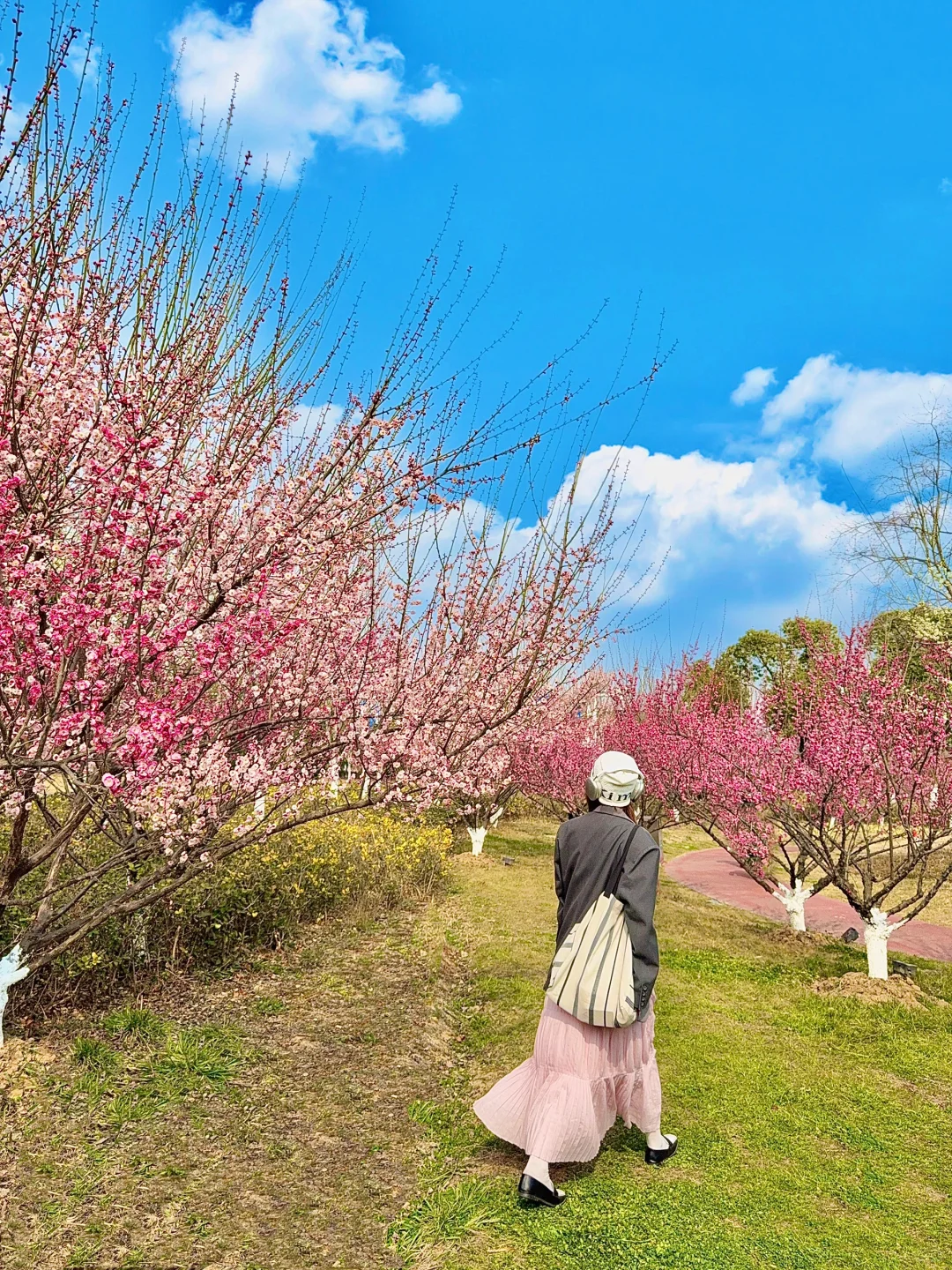 南京。。。果然最牛逼的地方都是免费的（附地址