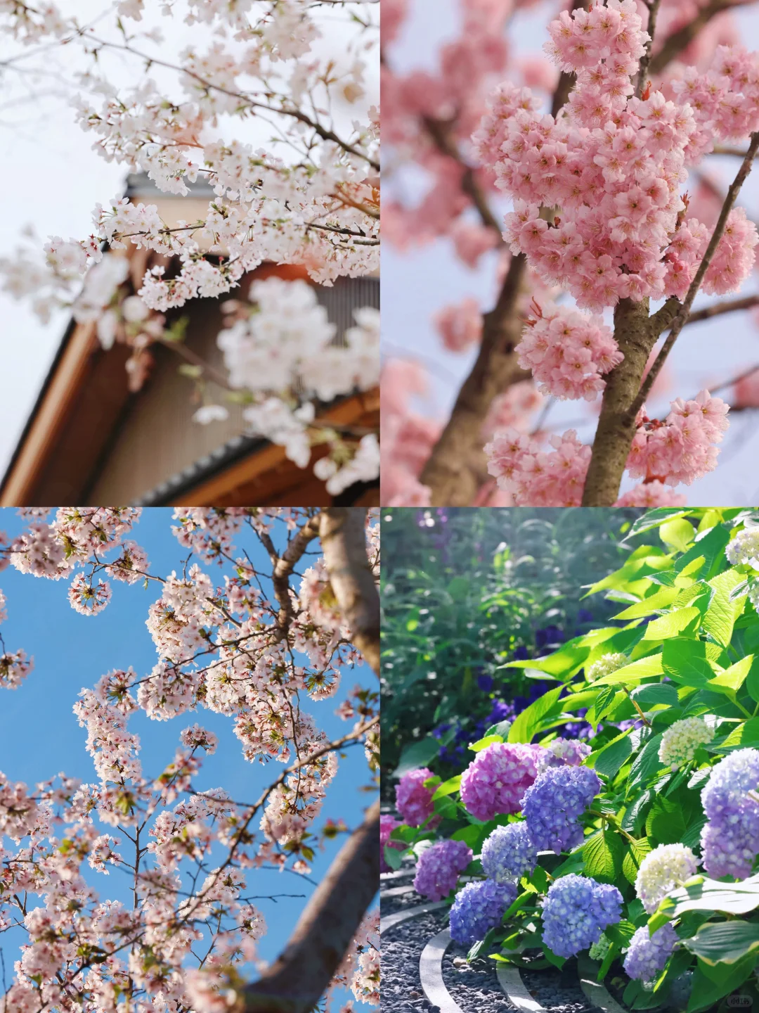 逃离城市计划|宜兴大有秋息壤酒店🍃