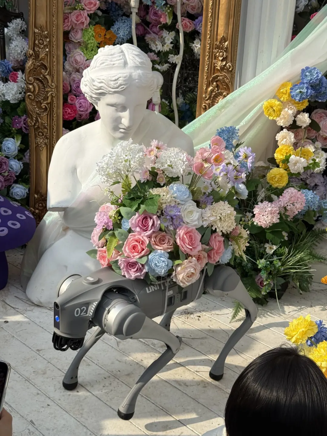 🎊杭州乐园遛娃秘籍，亲子欢乐嗨天