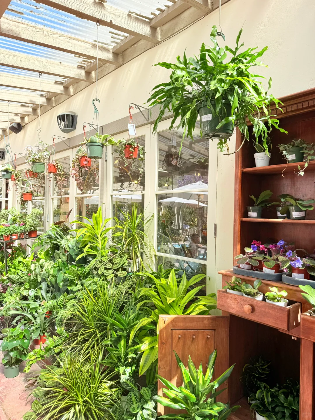 尔湾周边景点｜在Newport花的最值的5刀🌼