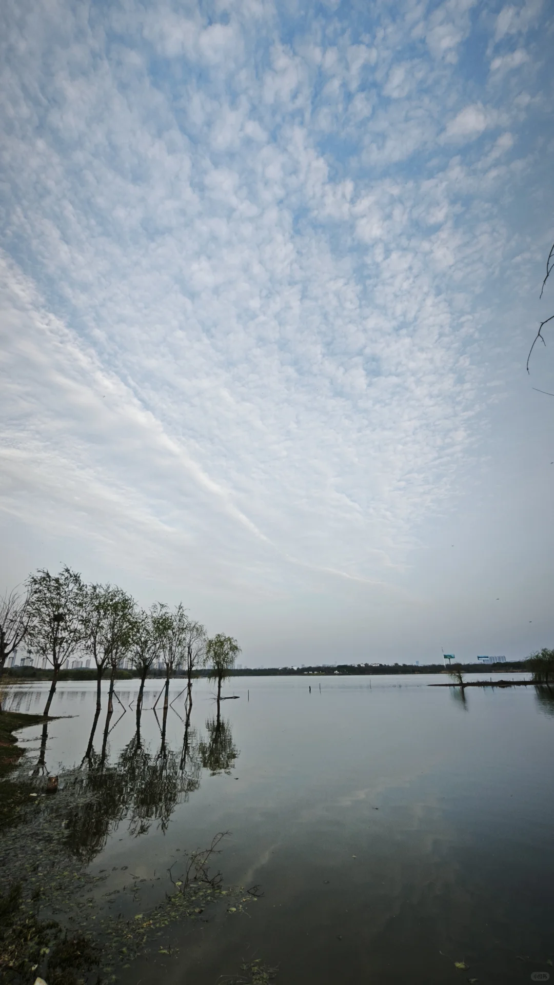 这里远离喧嚣，反而多了一份纯净和灵气