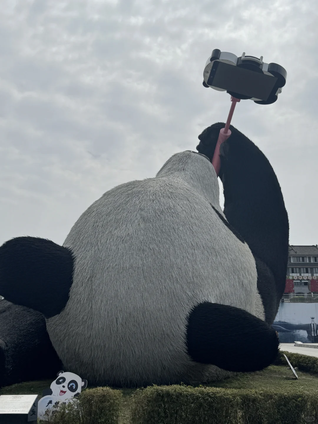 成都旅游出行不方便❓包车带你爽翻天🥰