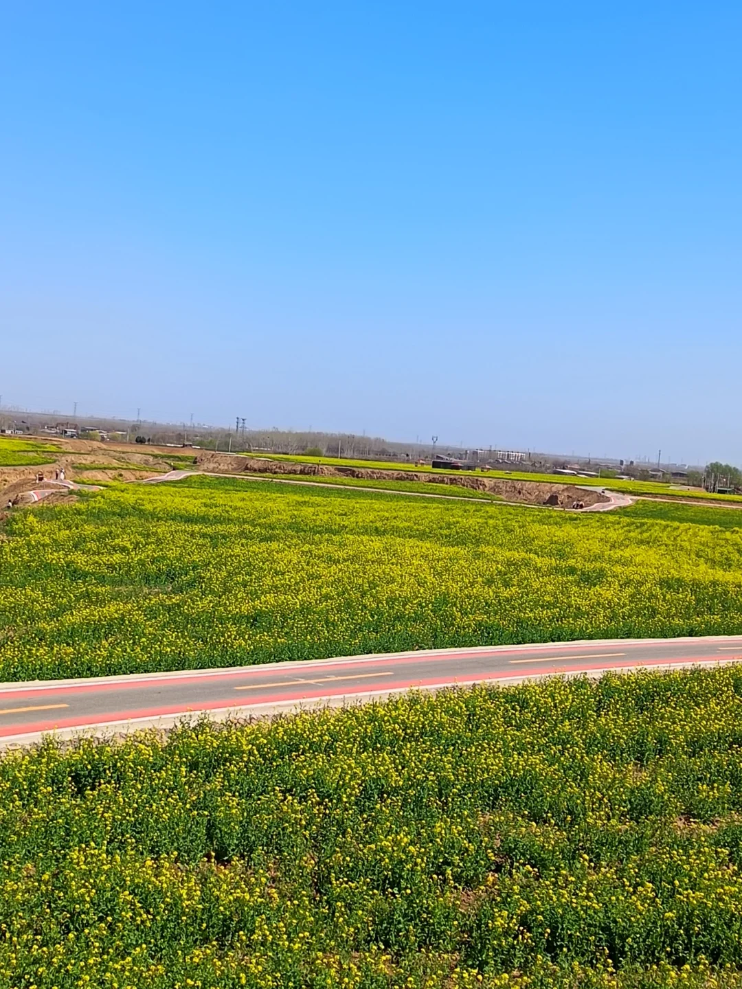 这不是婺源，这是邢台沙河红薯岭