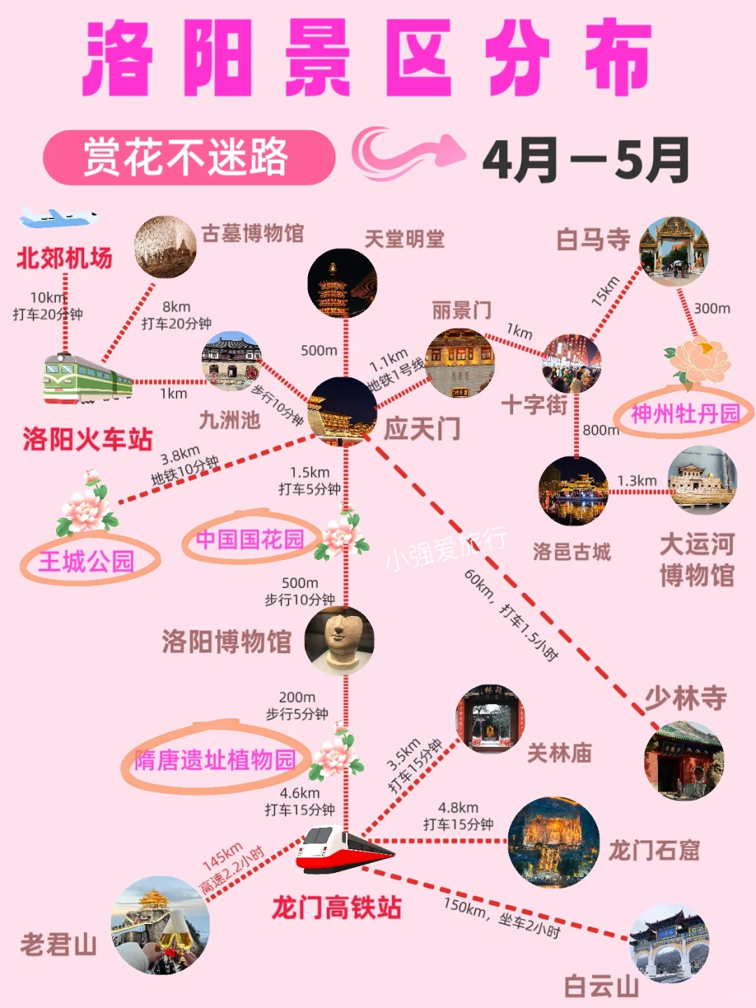 谁懂啊…女生去洛阳旅游踩雷！血泪教训😭