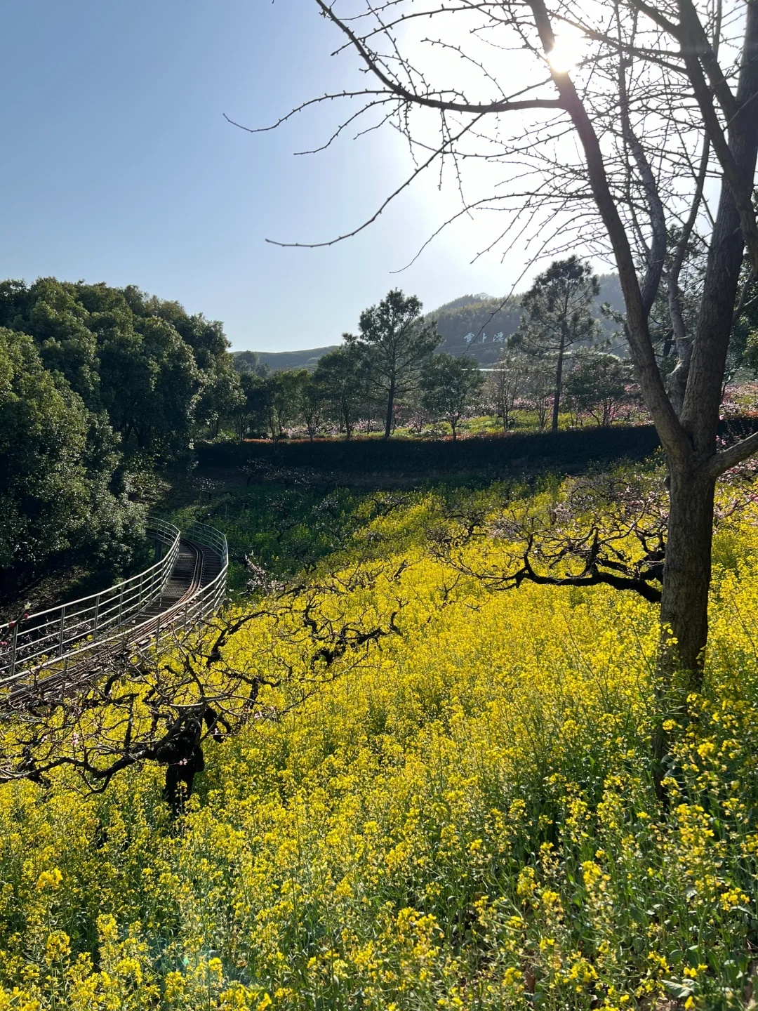 周末逃离江浙沪之三月赏桃花
