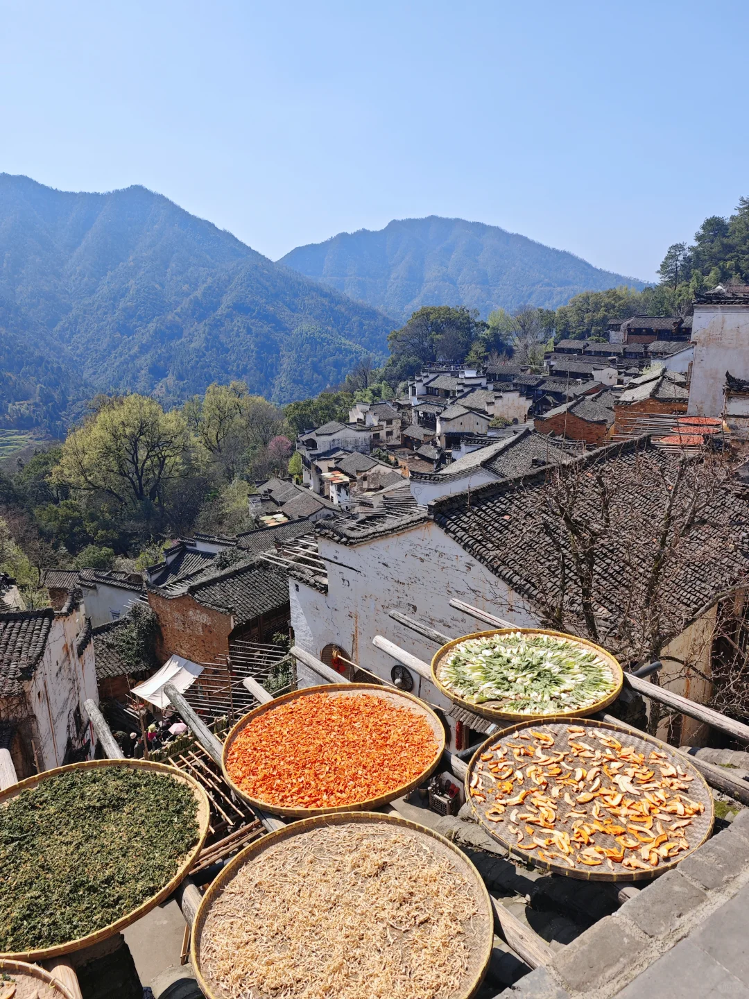 景德镇+婺源+黄山旅游攻略