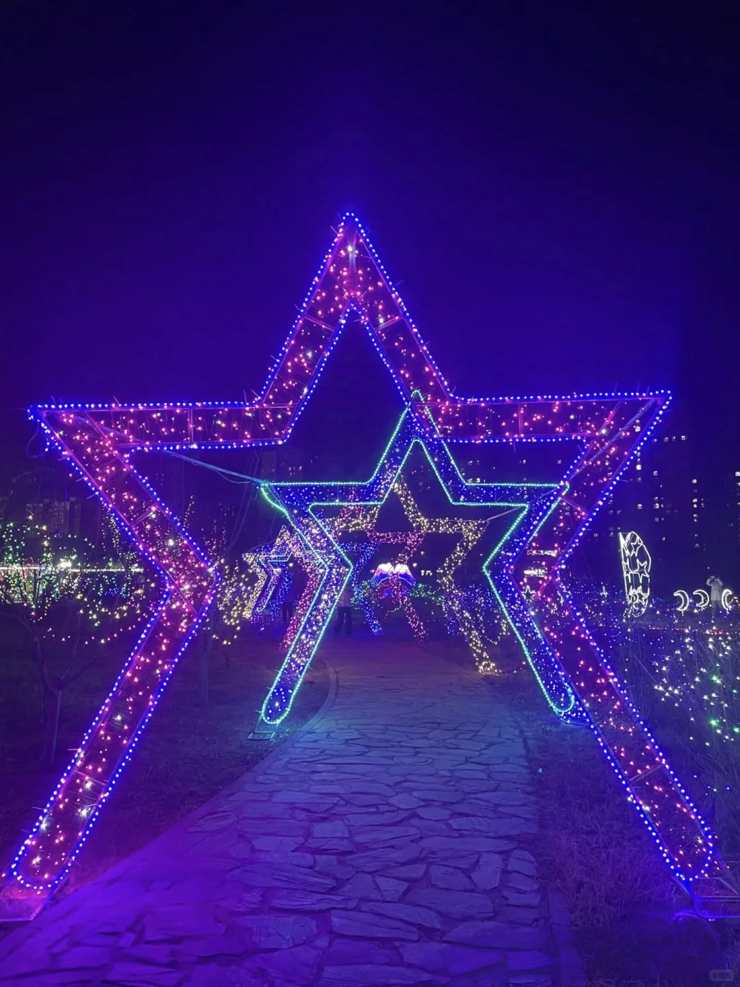 艺术造型景观灯