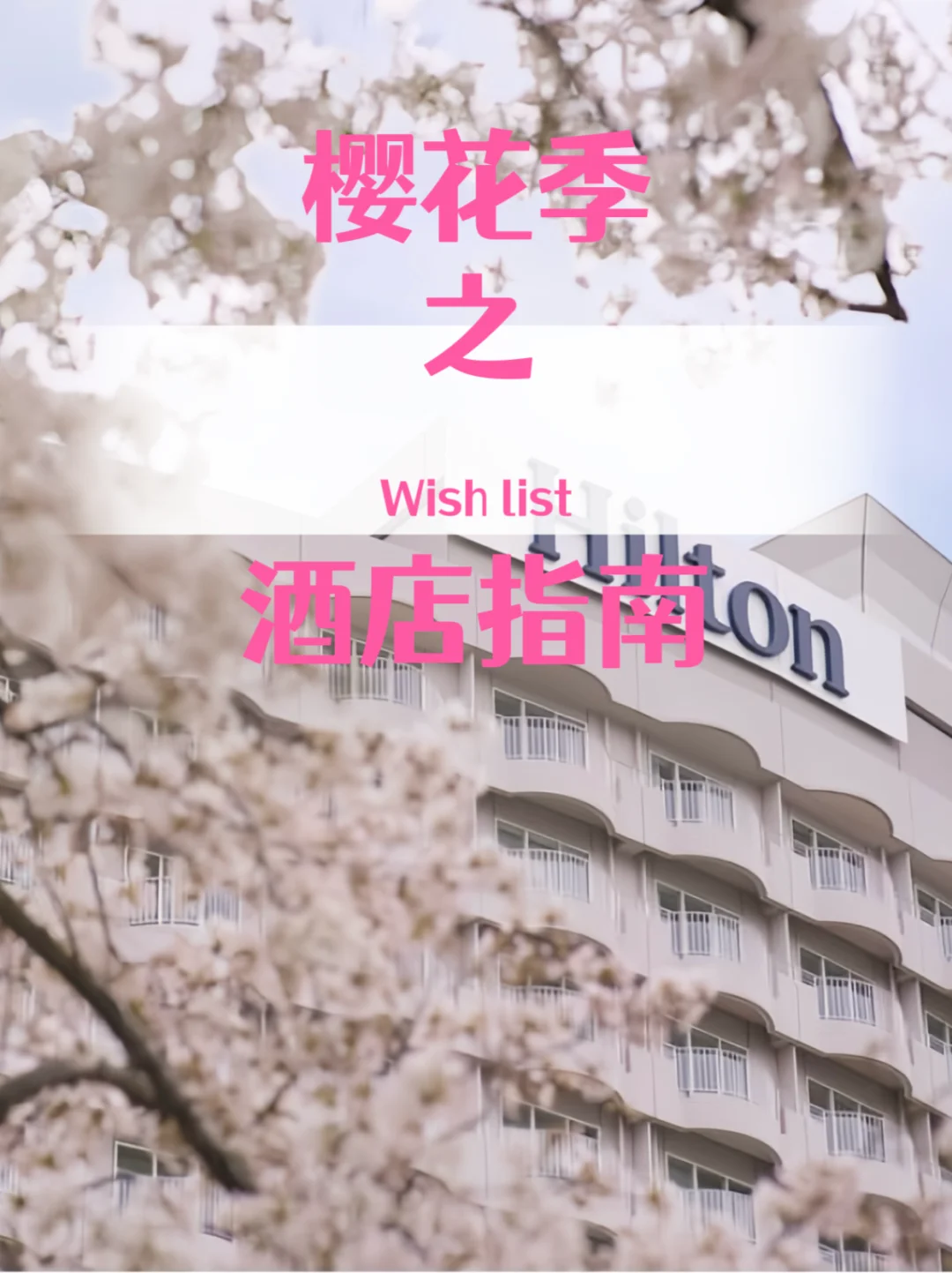 樱花季🌸酒店攻略