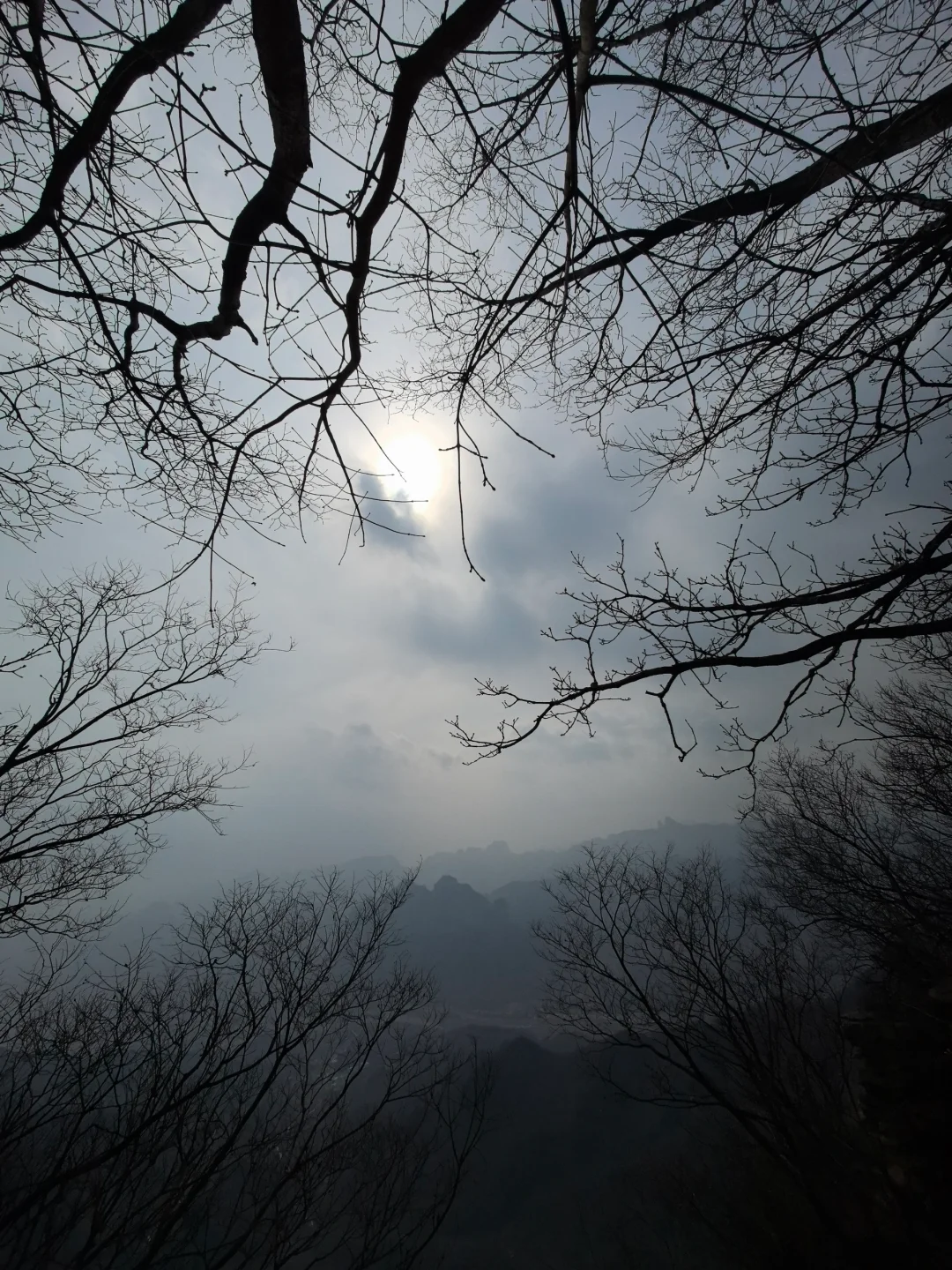 这么近，那么美