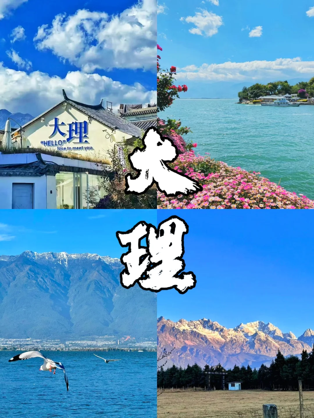 去大理吧！感受苍山洱海的风月🌊附攻略