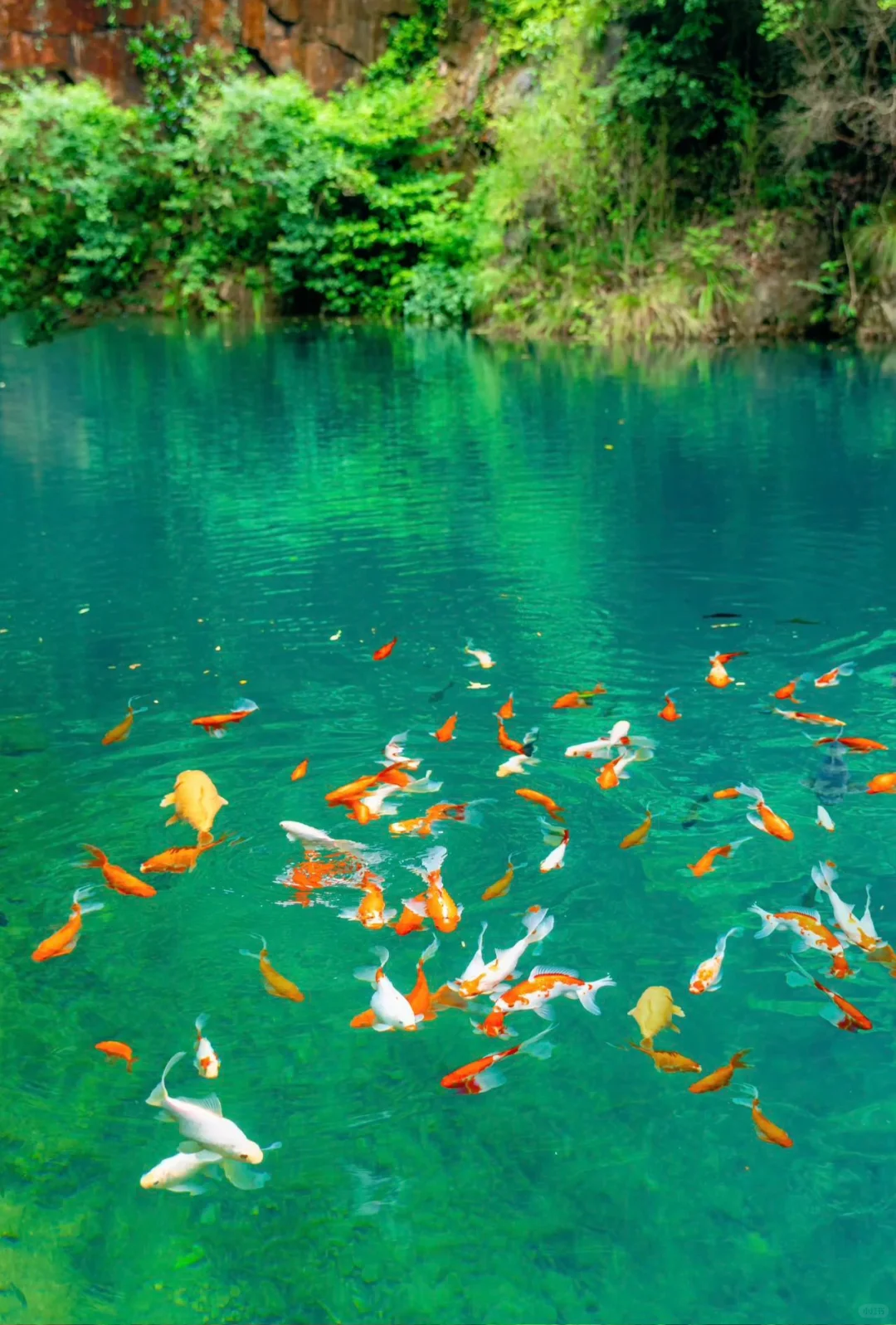 被国家地理评为最佳旅行地的宝藏小城有多绝