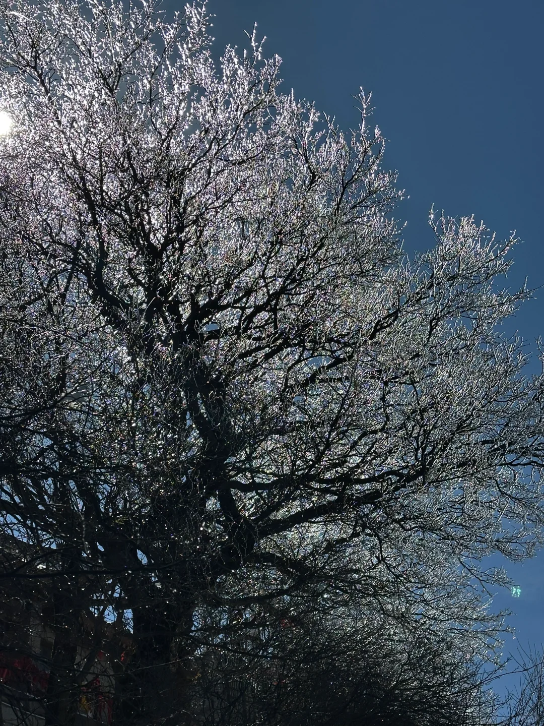 西安旅游攻略总结(一)