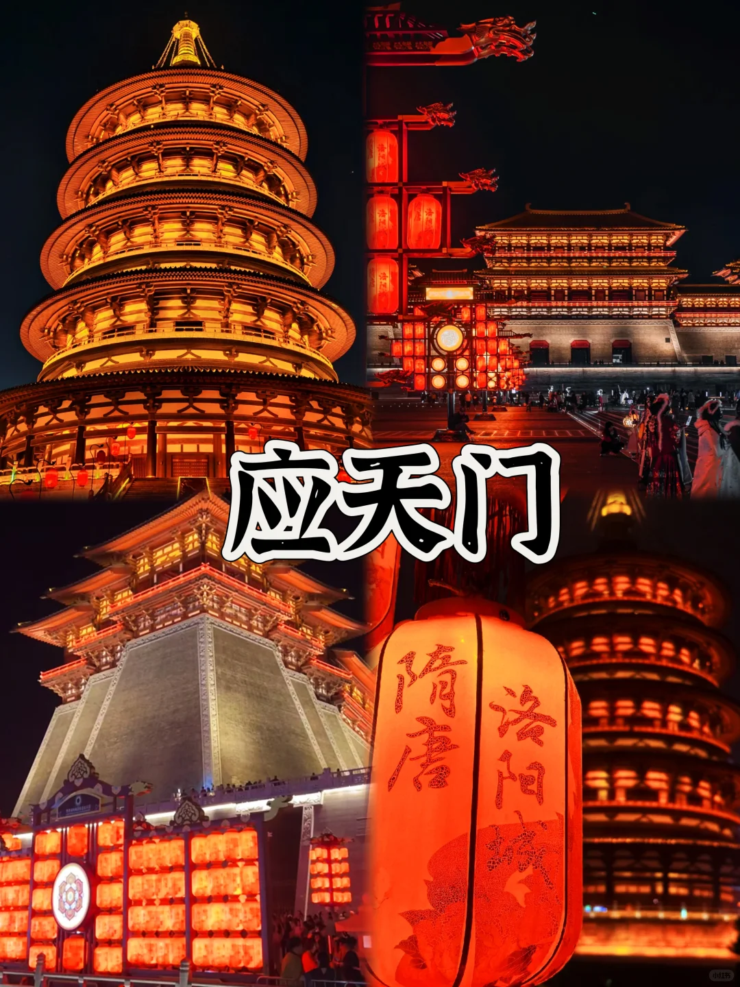 03女大📍洛阳/三天二夜详细版旅游攻略❗️