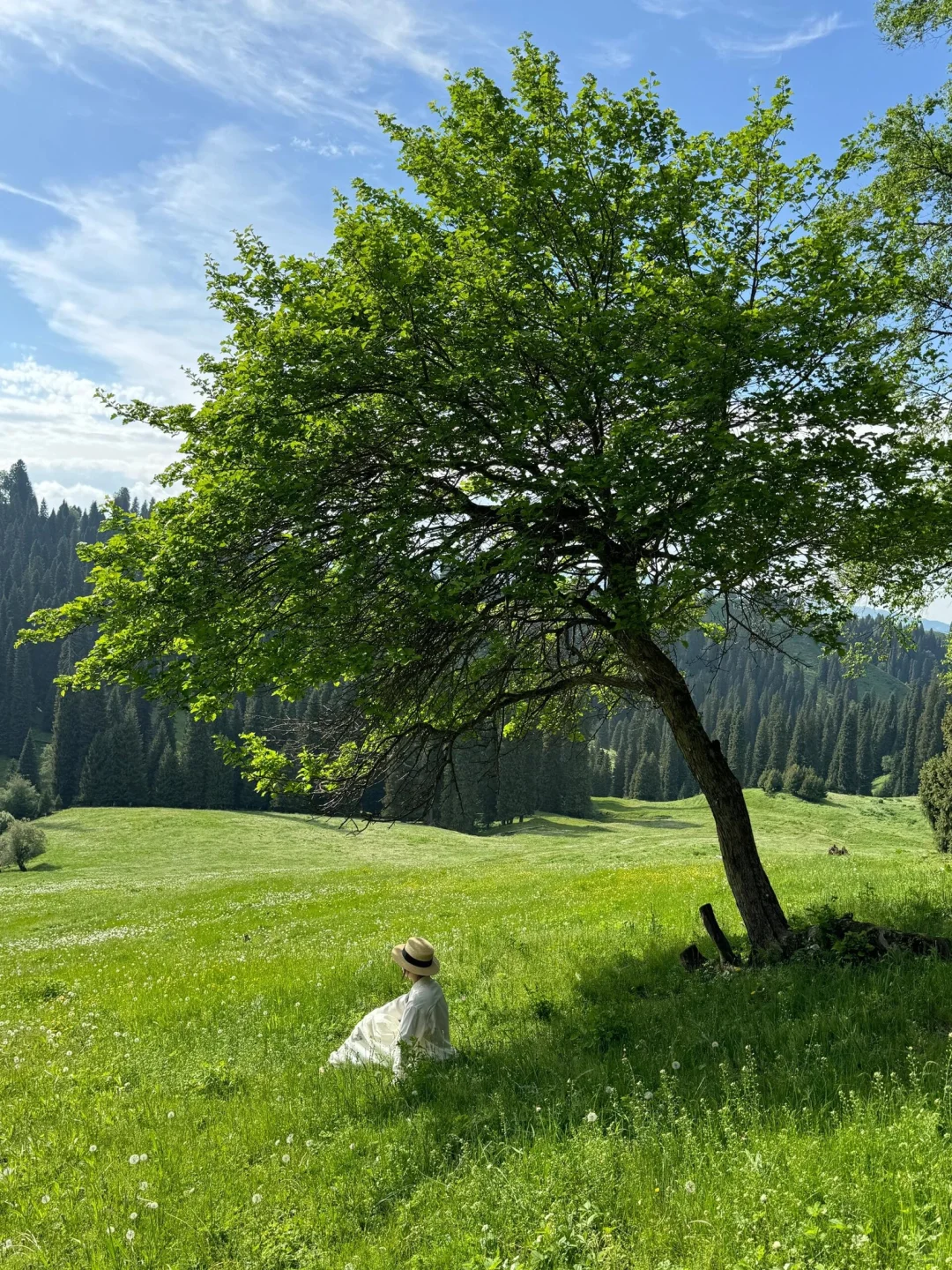 伊犁同款那拉提跟拍