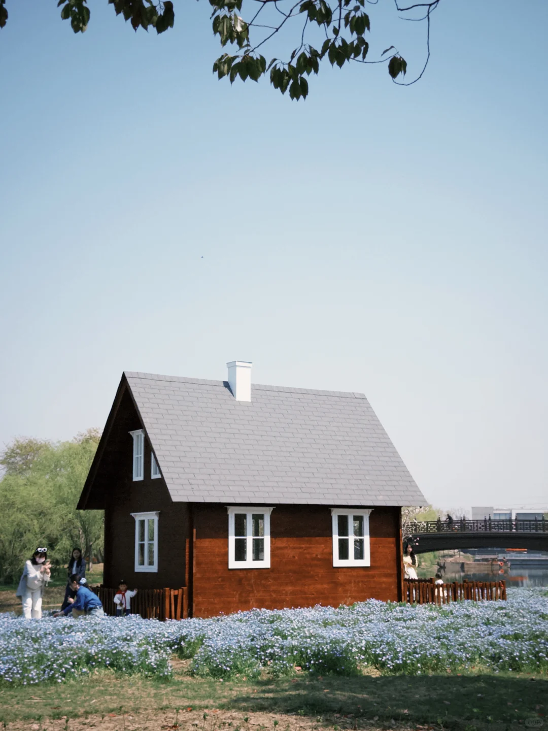 临海灵湖网红小木屋🏡