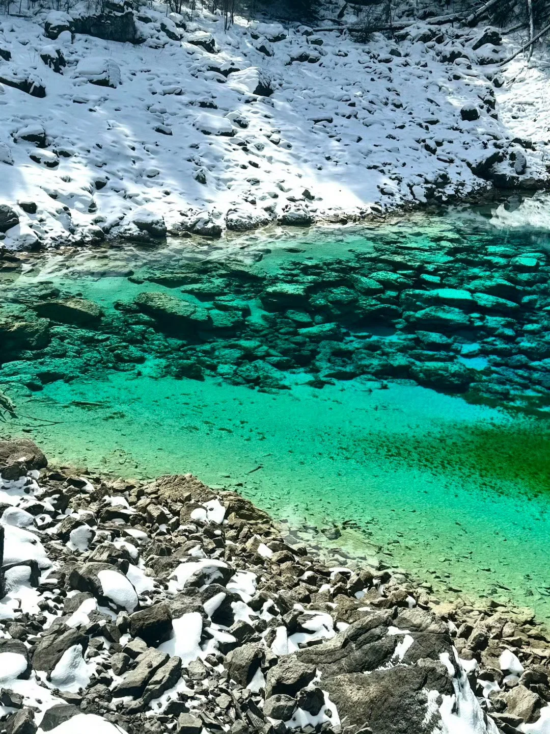 3.2📍九寨沟已回❗live实况➕真心建议❤