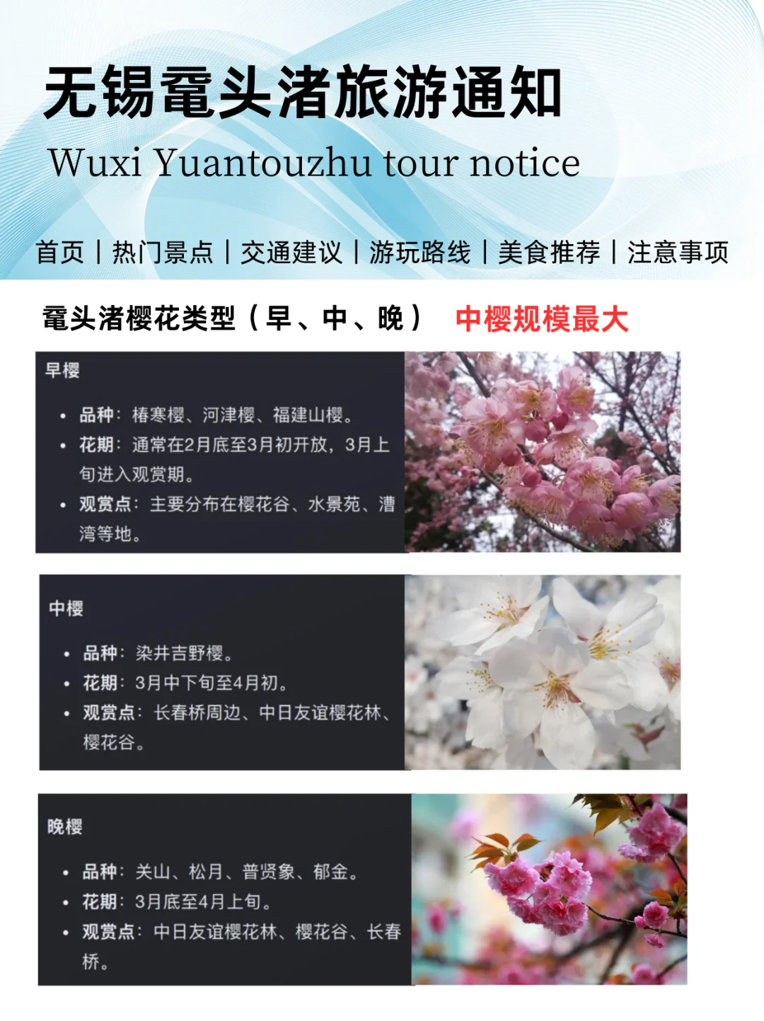 鼋头渚赏花🌸旅游通知!!幸好提前看到了