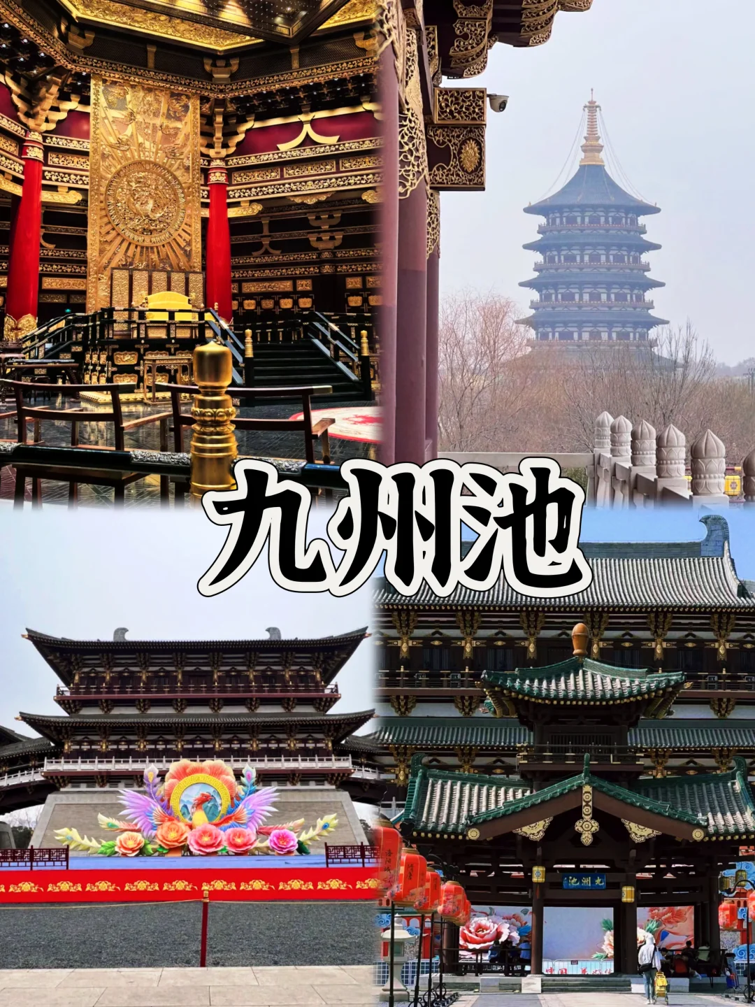 03女大📍洛阳/三天二夜详细版旅游攻略❗️