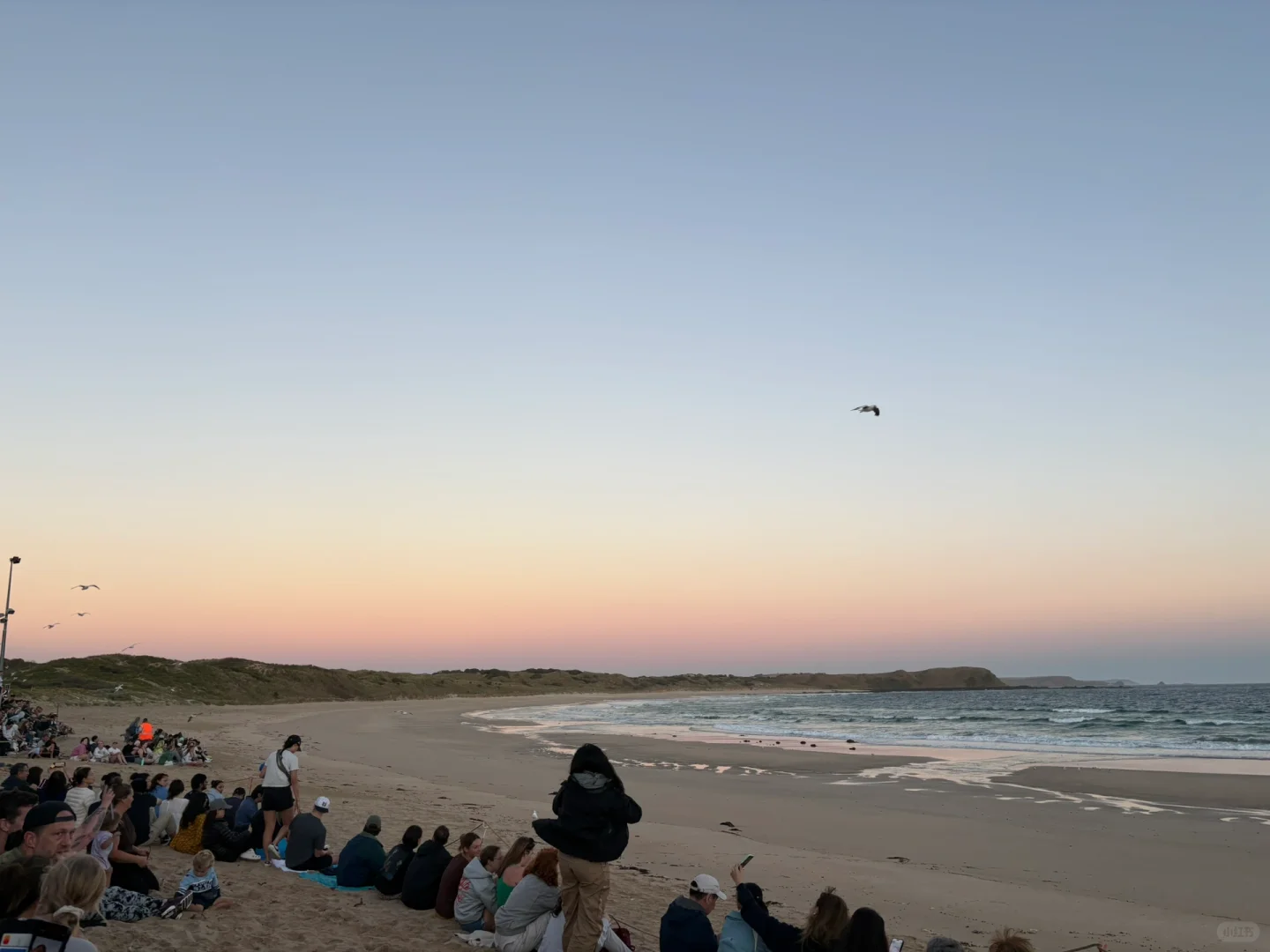 一个人澳洲玩12天1W➕,自由行,不拼房玩挺好