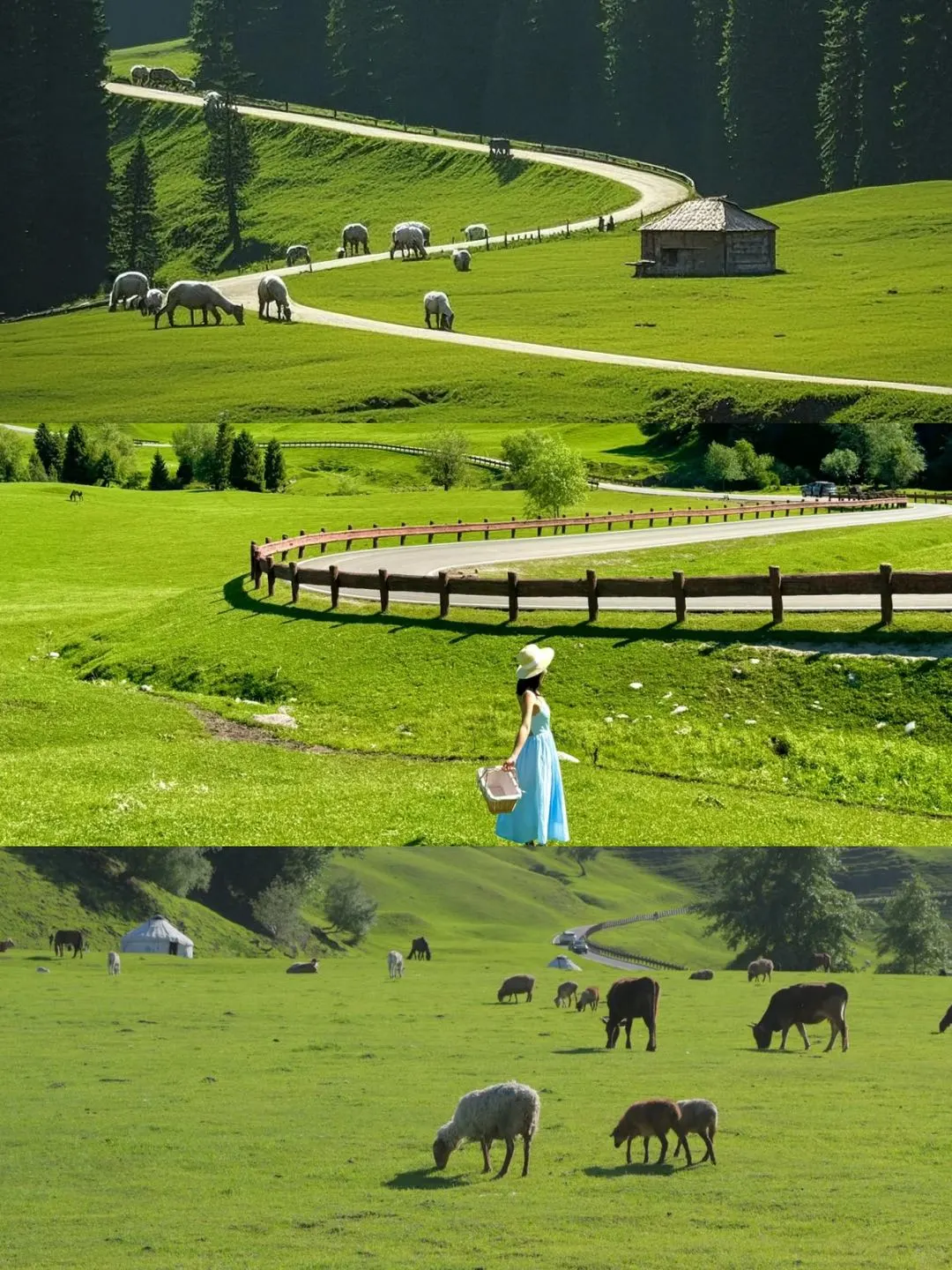 北疆怎么玩❓看这篇就够啦！小白赶紧码住