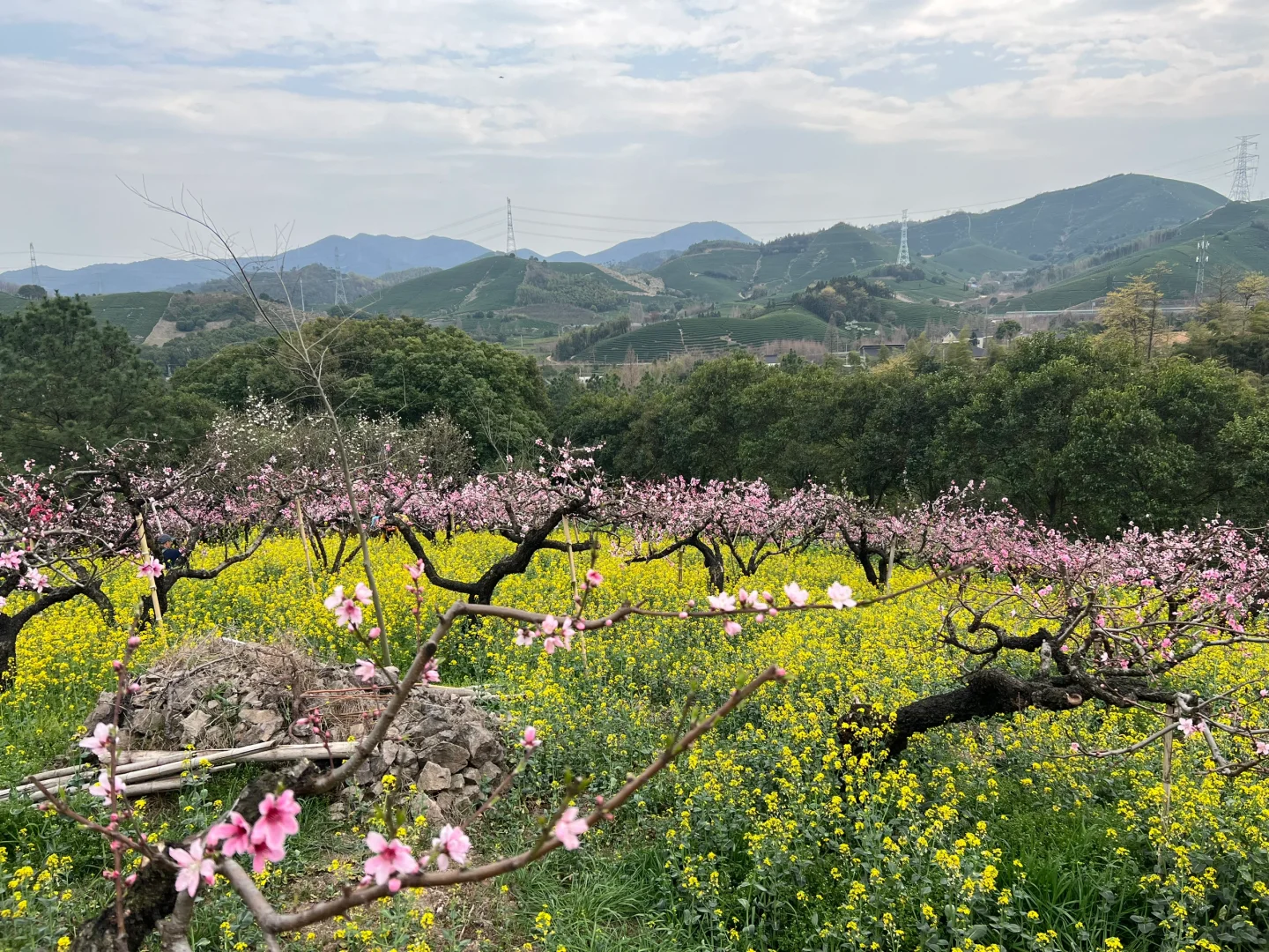 周末逃离江浙沪之三月赏桃花