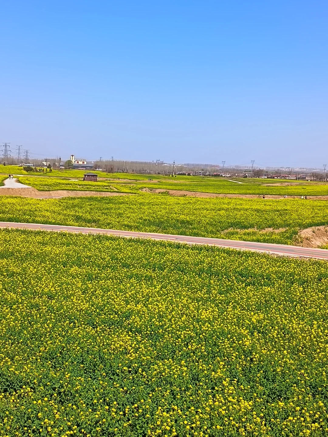 这不是婺源，这是邢台沙河红薯岭