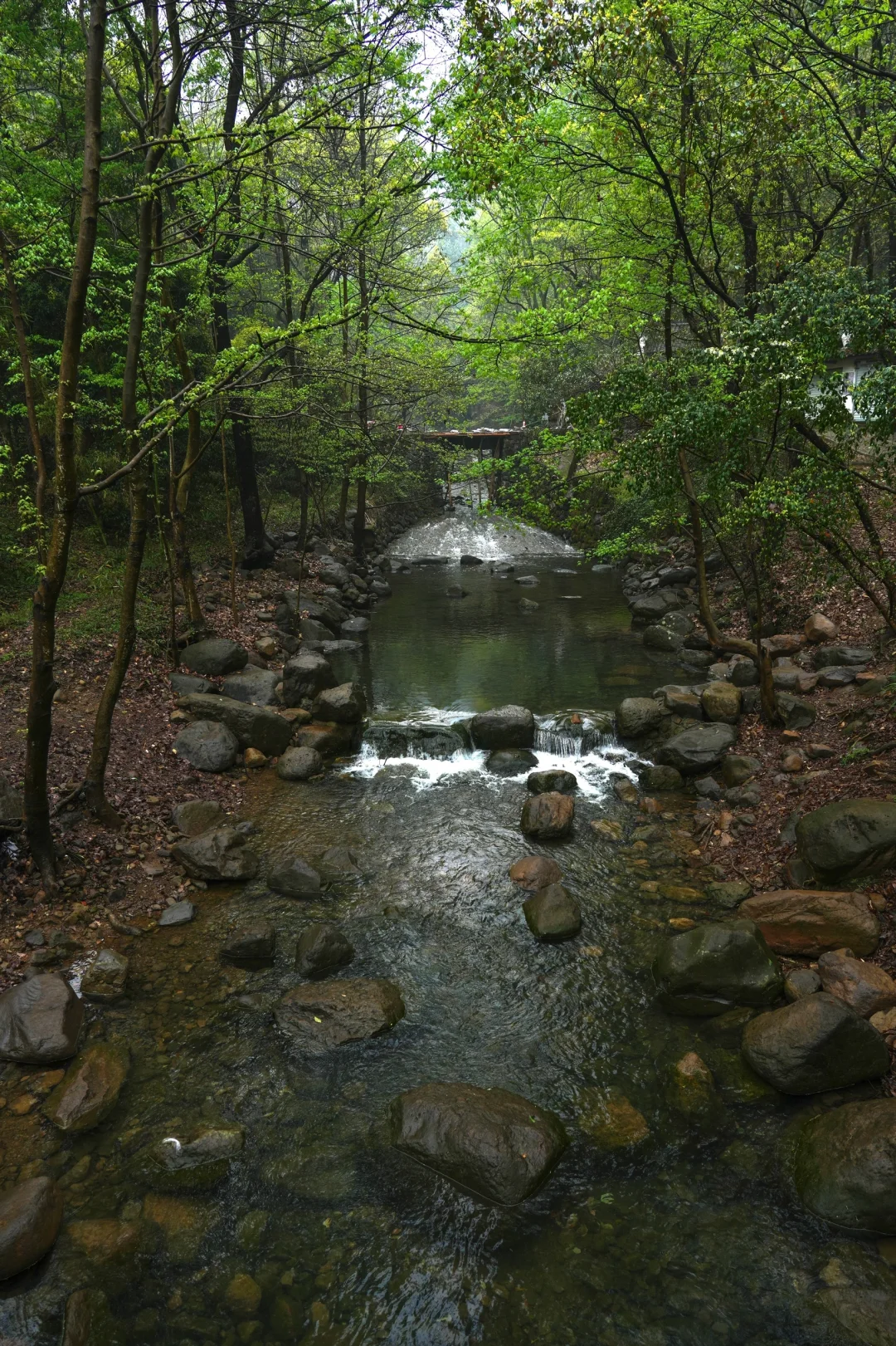 后悔为什么现在才去桐庐😭，两天一晚休闲游