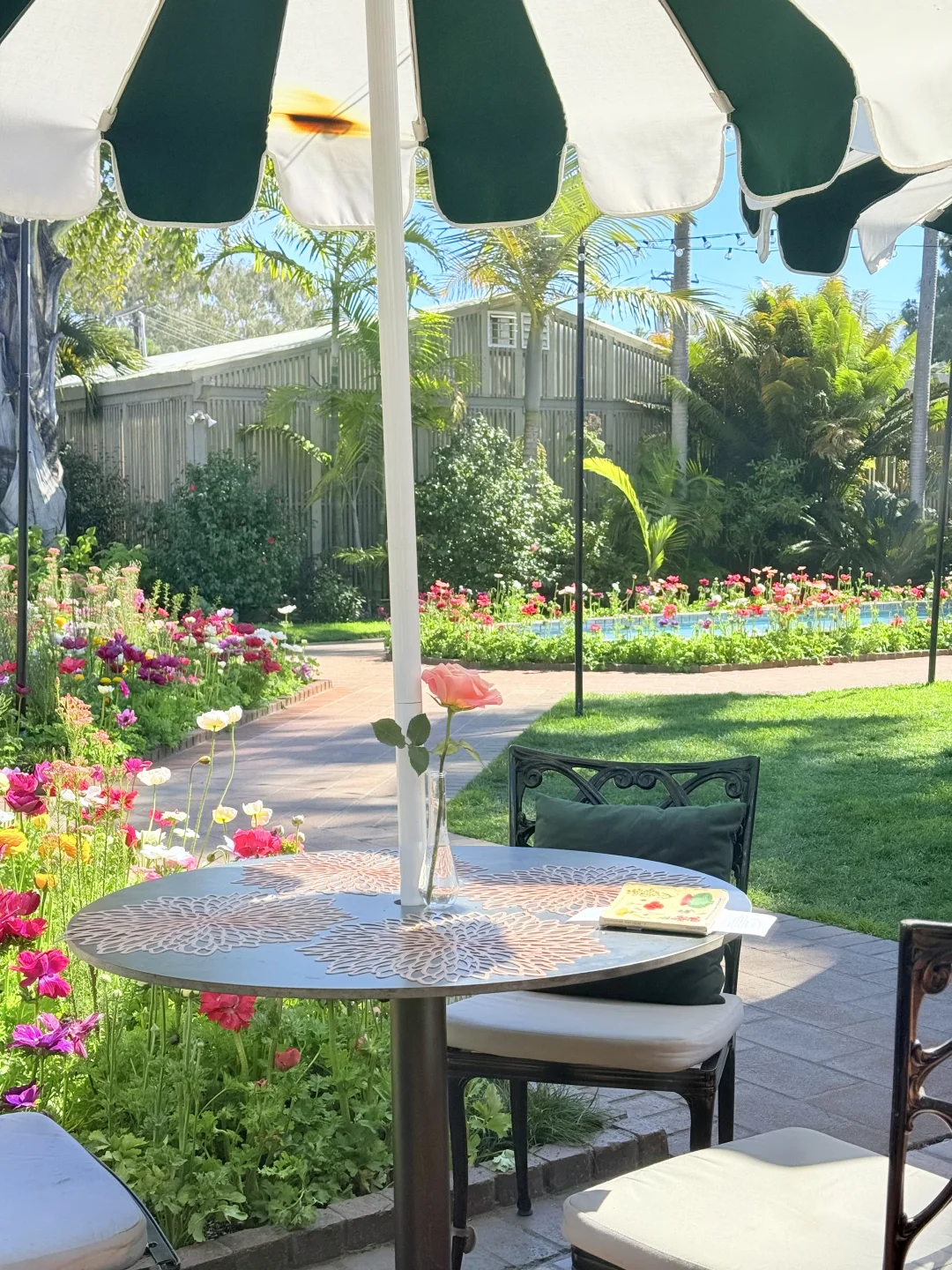 尔湾周边景点｜在Newport花的最值的5刀🌼