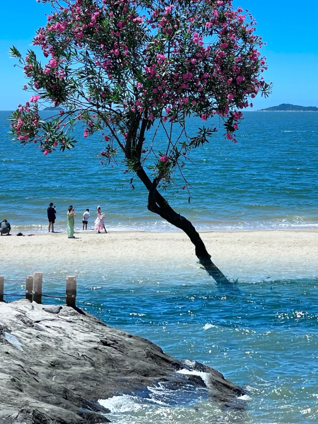 厦门最好的地方都是免费的……